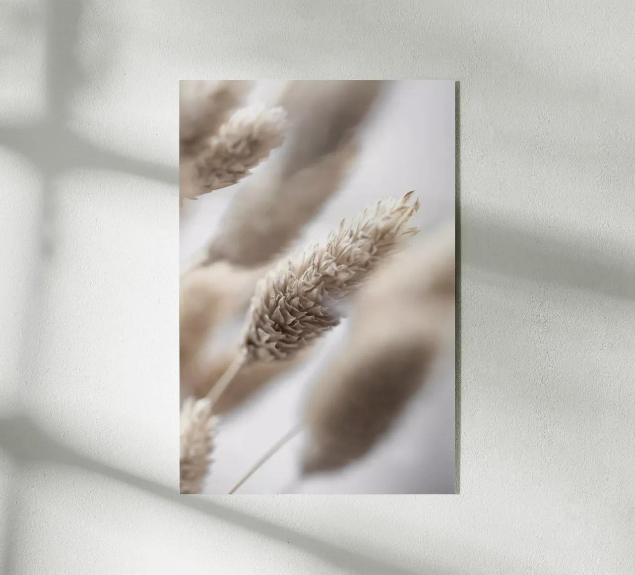 Last Summer 6 plexiglass da Mareike Böhmer Photography