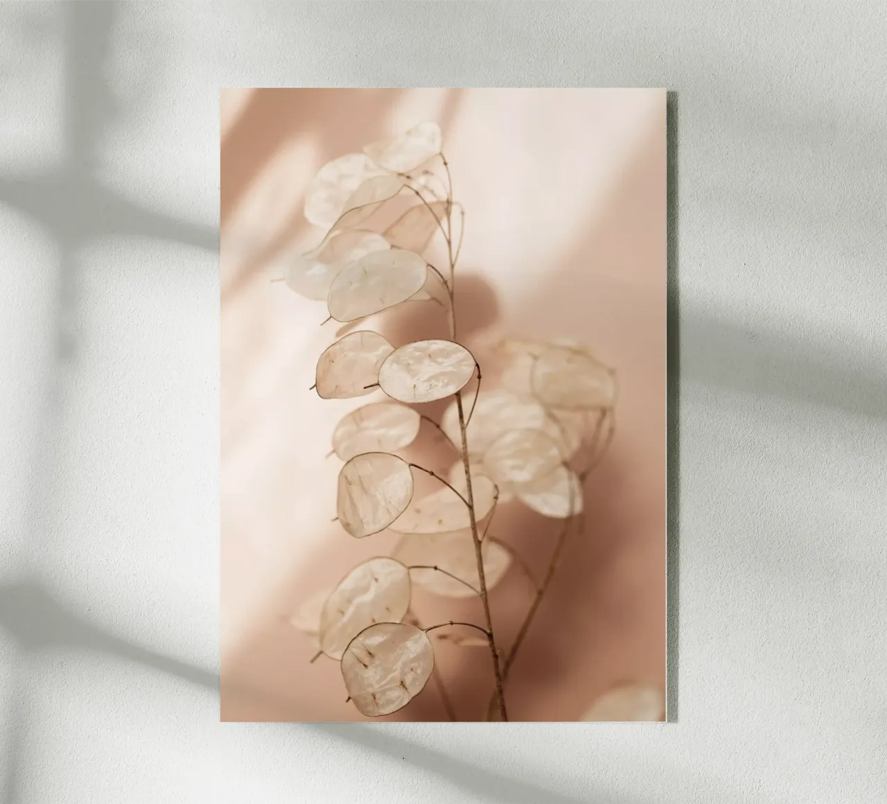 Last Summer 12 plexiglass da Mareike Böhmer Photography