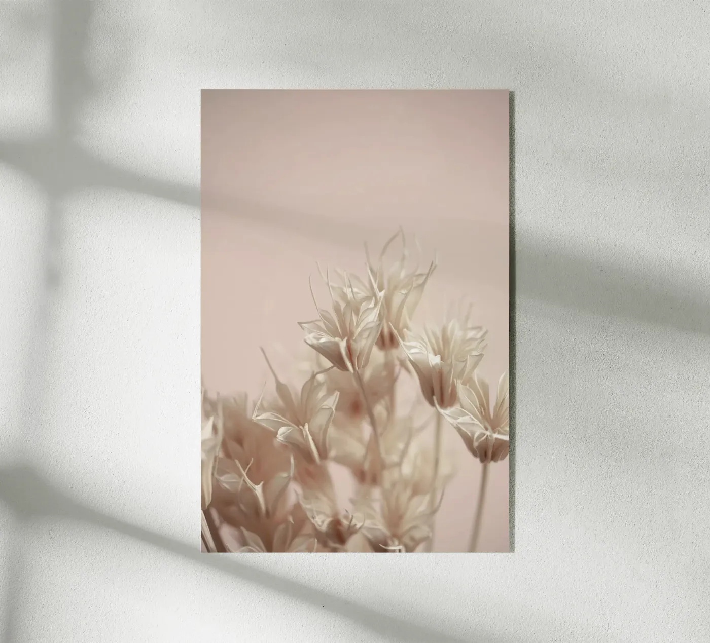 Last Summer 17 plexiglass da Mareike Böhmer Photography