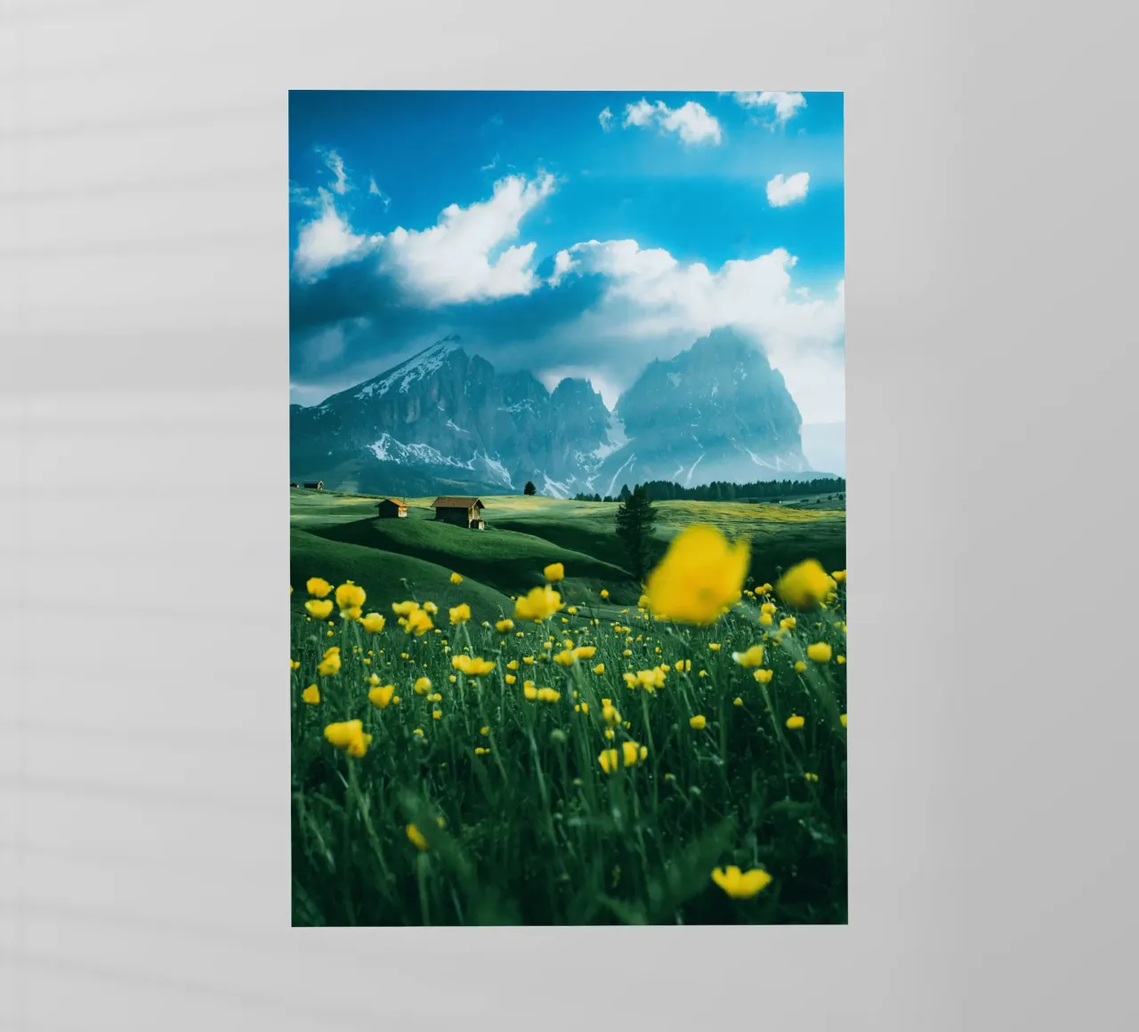 wildflowers greenery pellicola backlit da animal story home