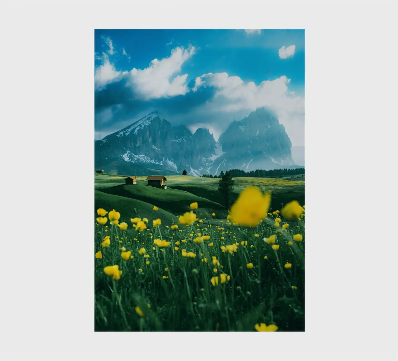 wildflowers greenery notebook by animal story home