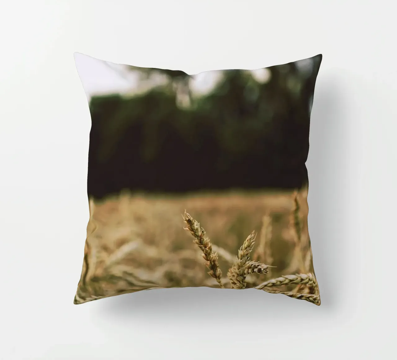 golden bokeh cuscino da animal story home