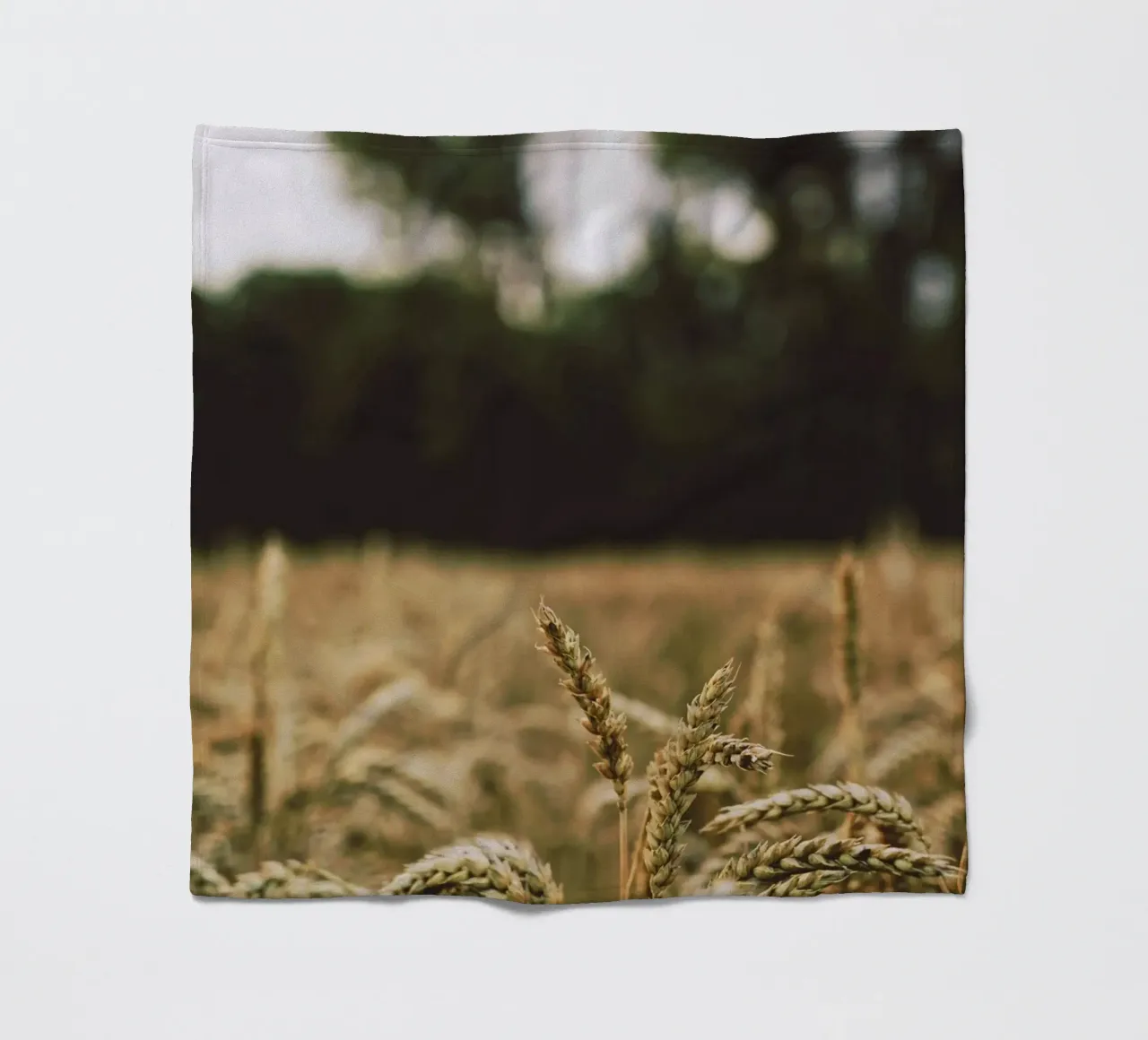 golden bokeh coperta in pile da animal story home