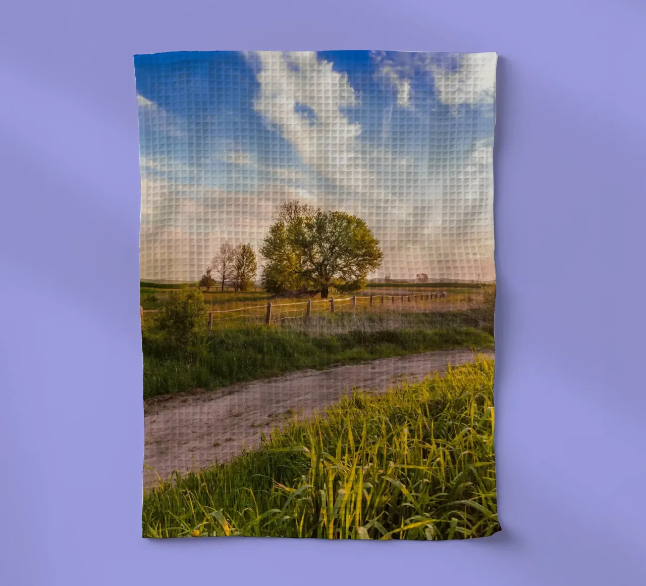 path grass clouds canovaccio da cucina da animal story home