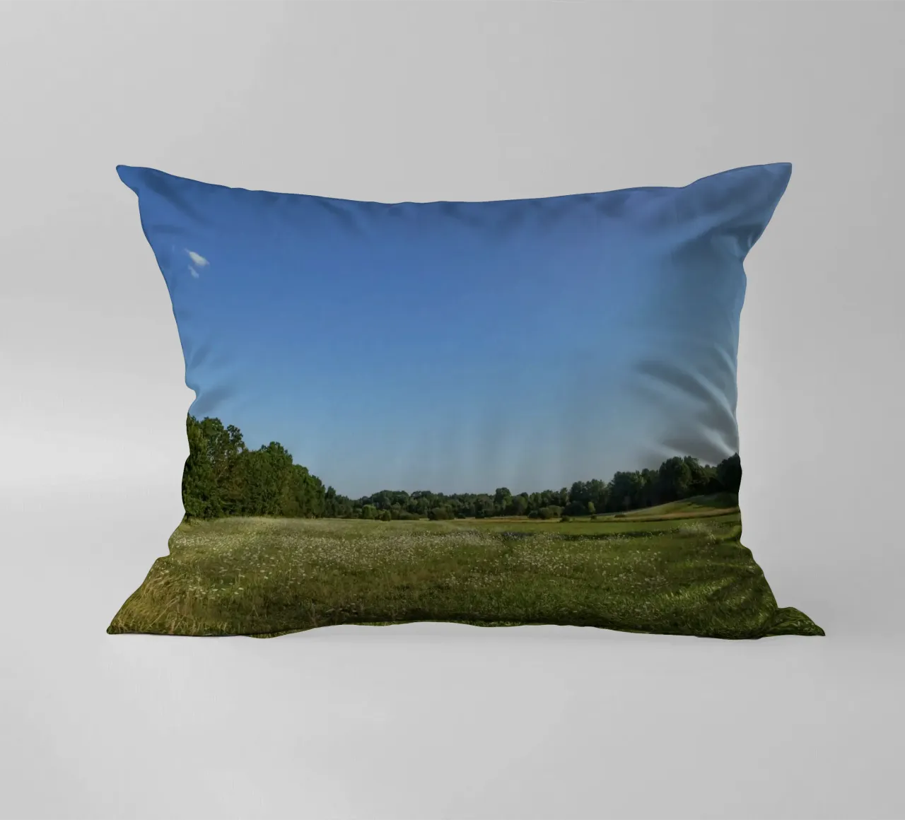 daytime scenic lighting cuscino da animal story home