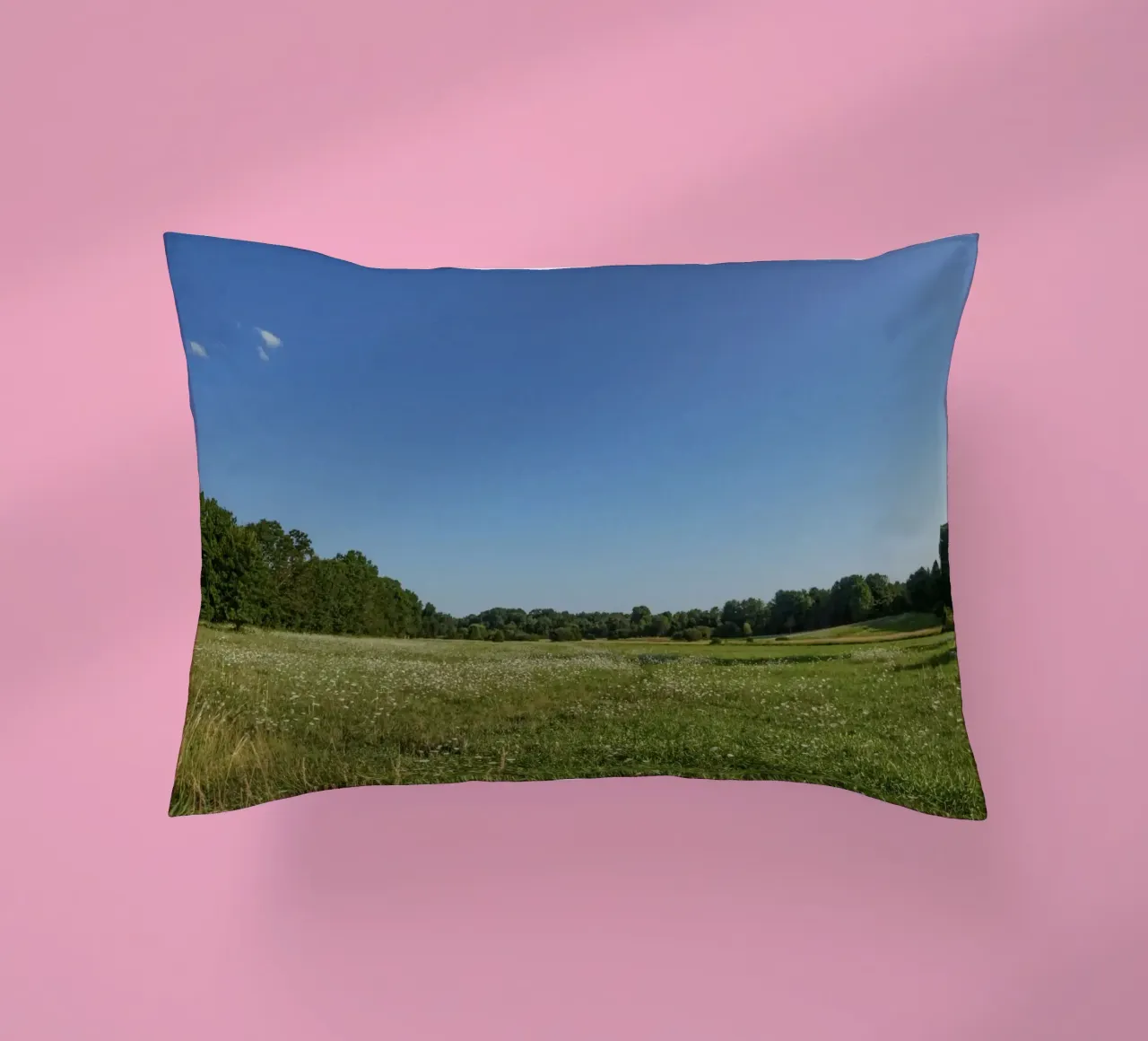 daytime scenic lighting cuscino da animal story home