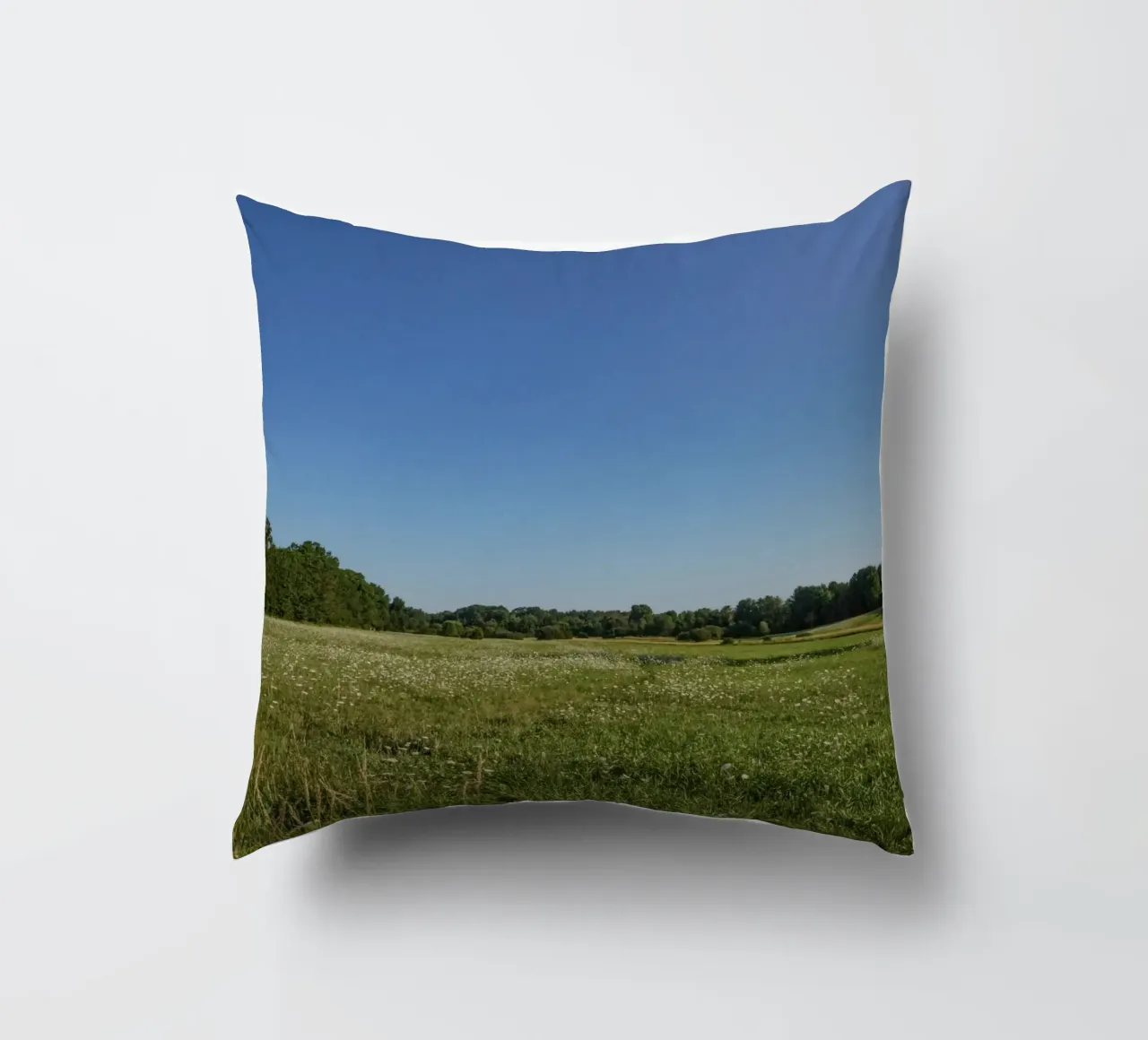 daytime scenic lighting cuscino da animal story home