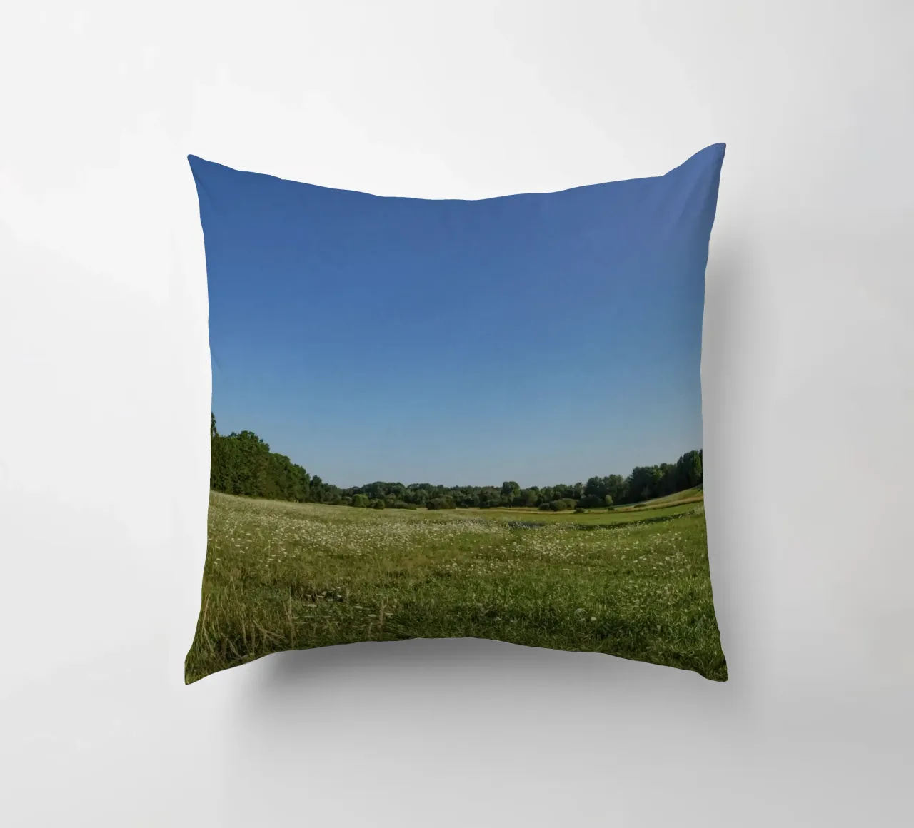 daytime scenic lighting cuscino da animal story home