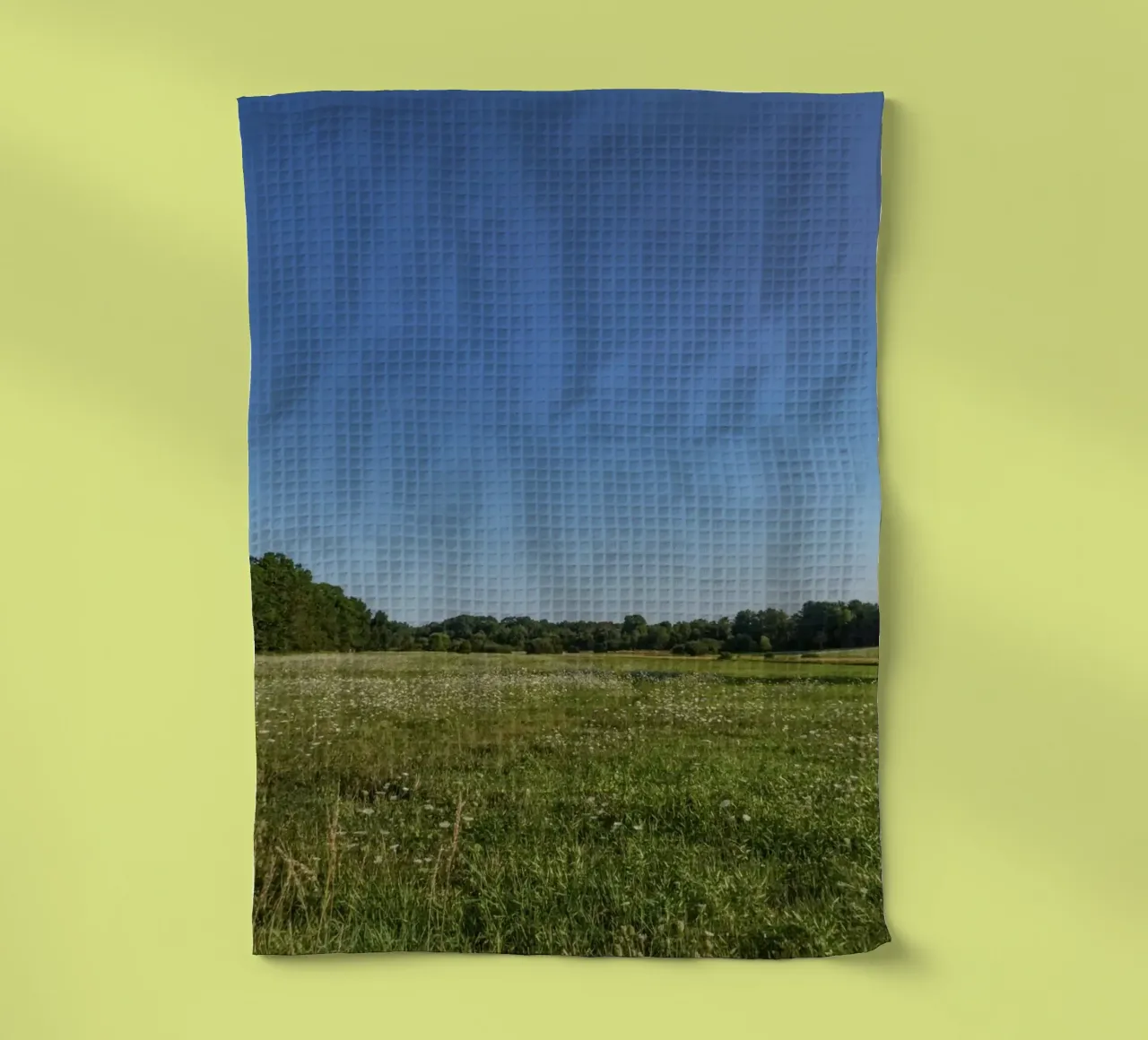daytime scenic lighting canovaccio da cucina da animal story home
