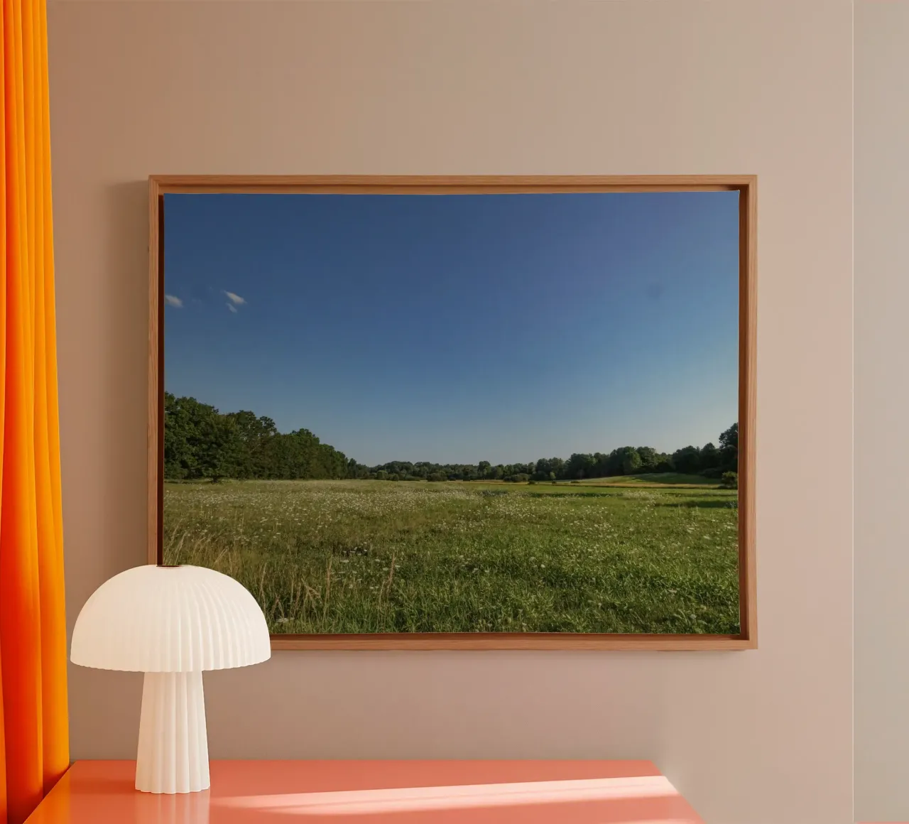 daytime scenic lighting tela da animal story home