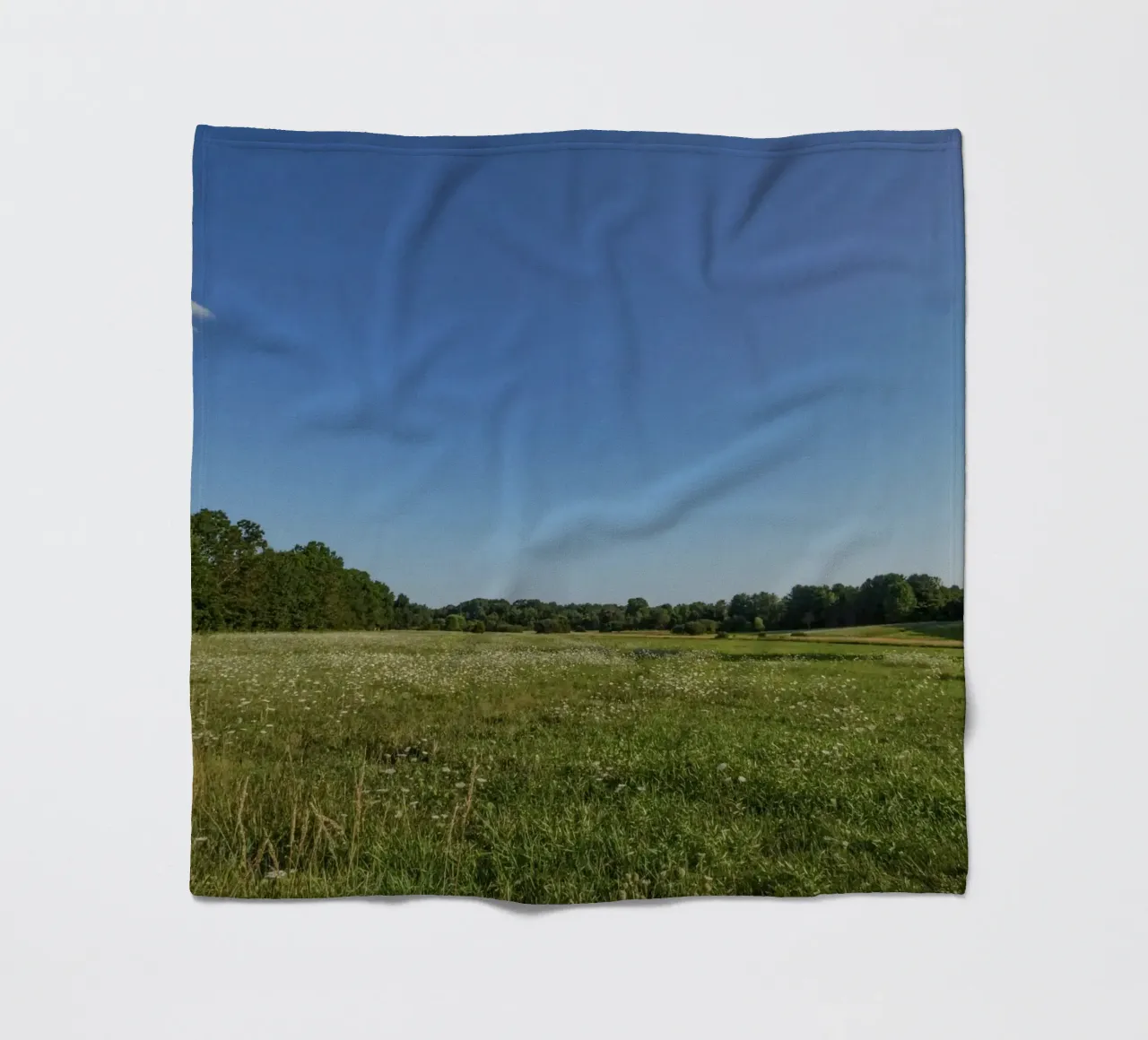 daytime scenic lighting coperta in pile da animal story home
