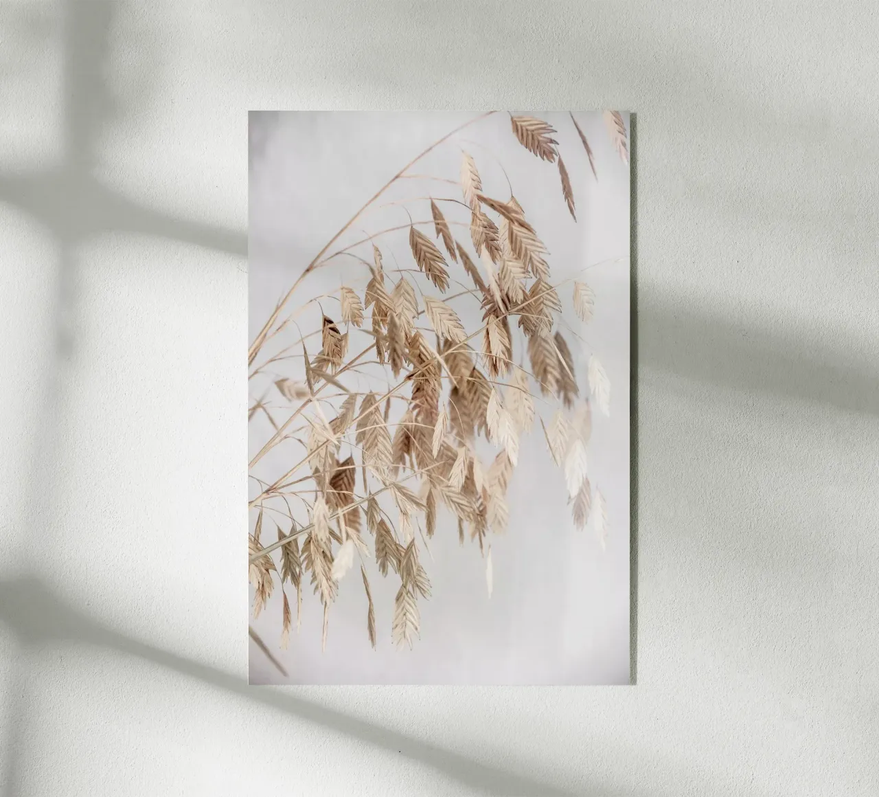 Unknown 4 plexiglass da Mareike Böhmer Photography