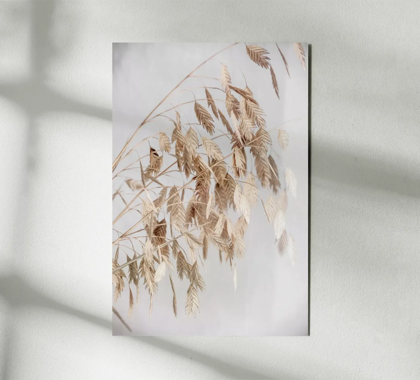 Unknown 4 pannello forex da Mareike Böhmer Photography