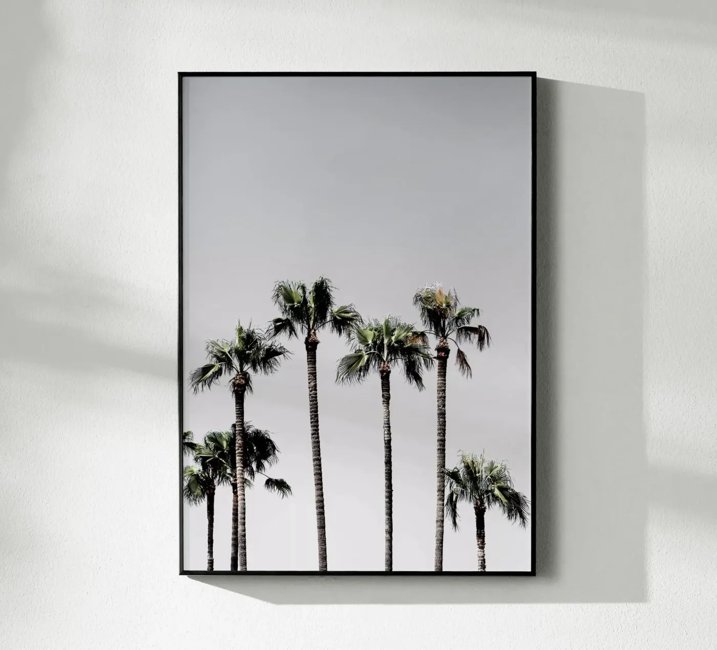 Palm Trees 5 plexiglass da Mareike Böhmer Photography