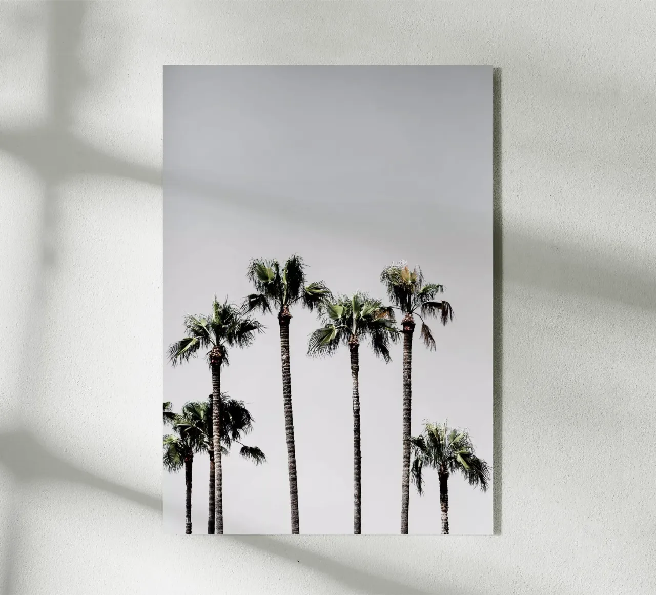 Palm Trees 5 plexiglass da Mareike Böhmer Photography