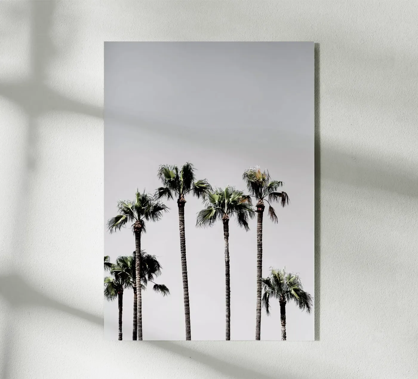 Palm Trees 5 Acryl-Glas von Mareike Böhmer Photography