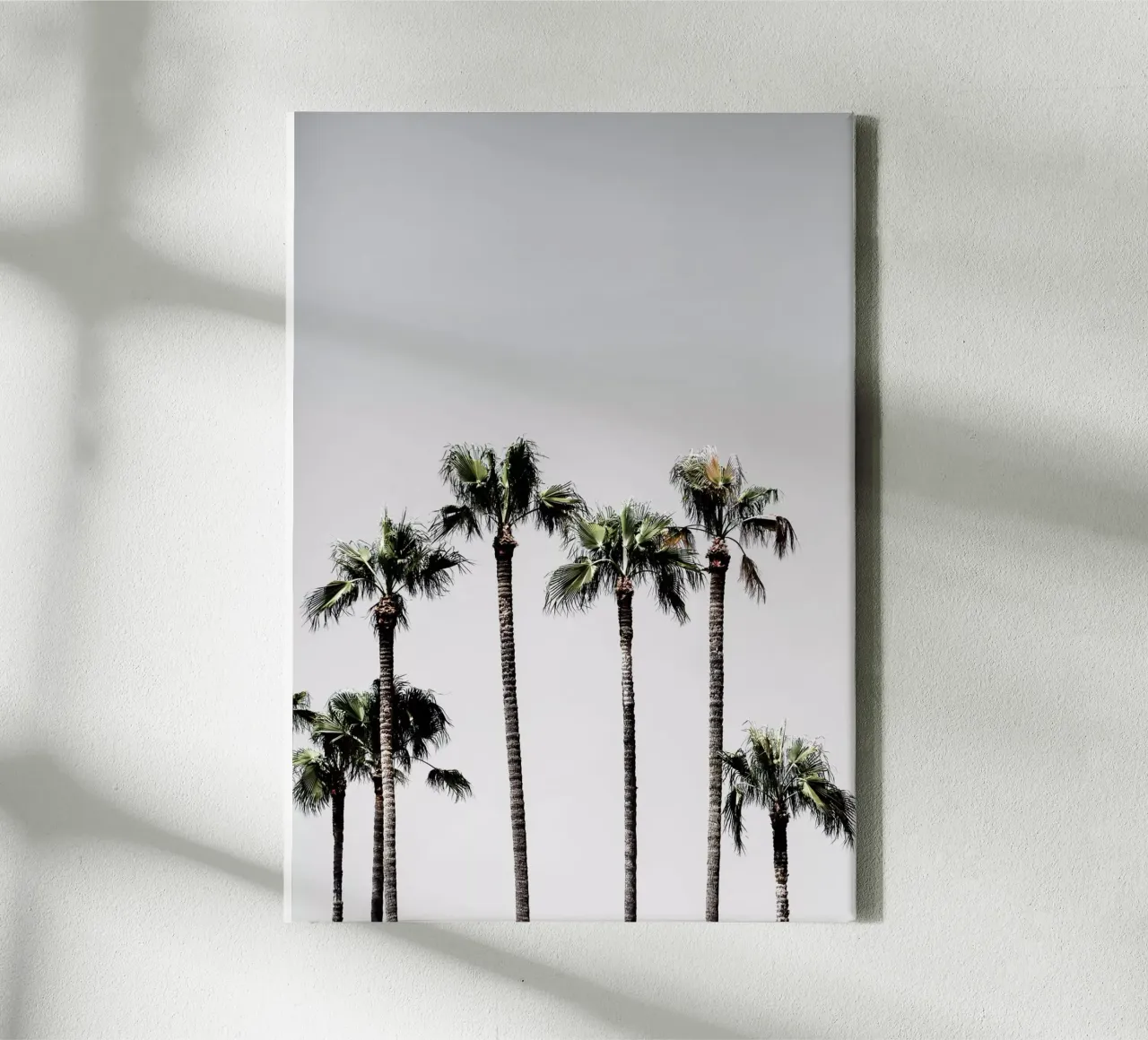 Palm Trees 5 tela con Cornice a cassetta da Mareike Böhmer Photography