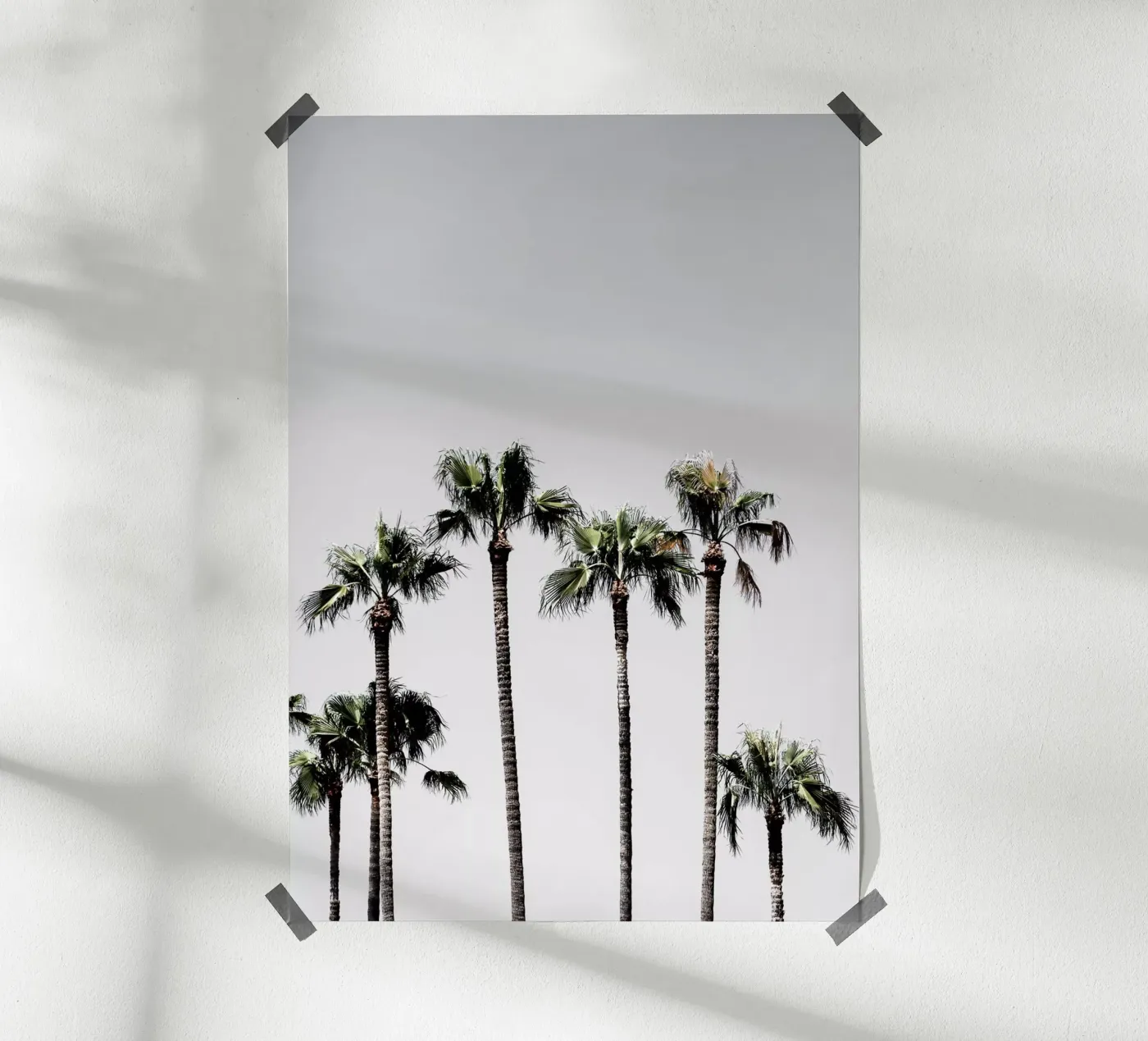 Palm Trees 5 poster da Mareike Böhmer Photography