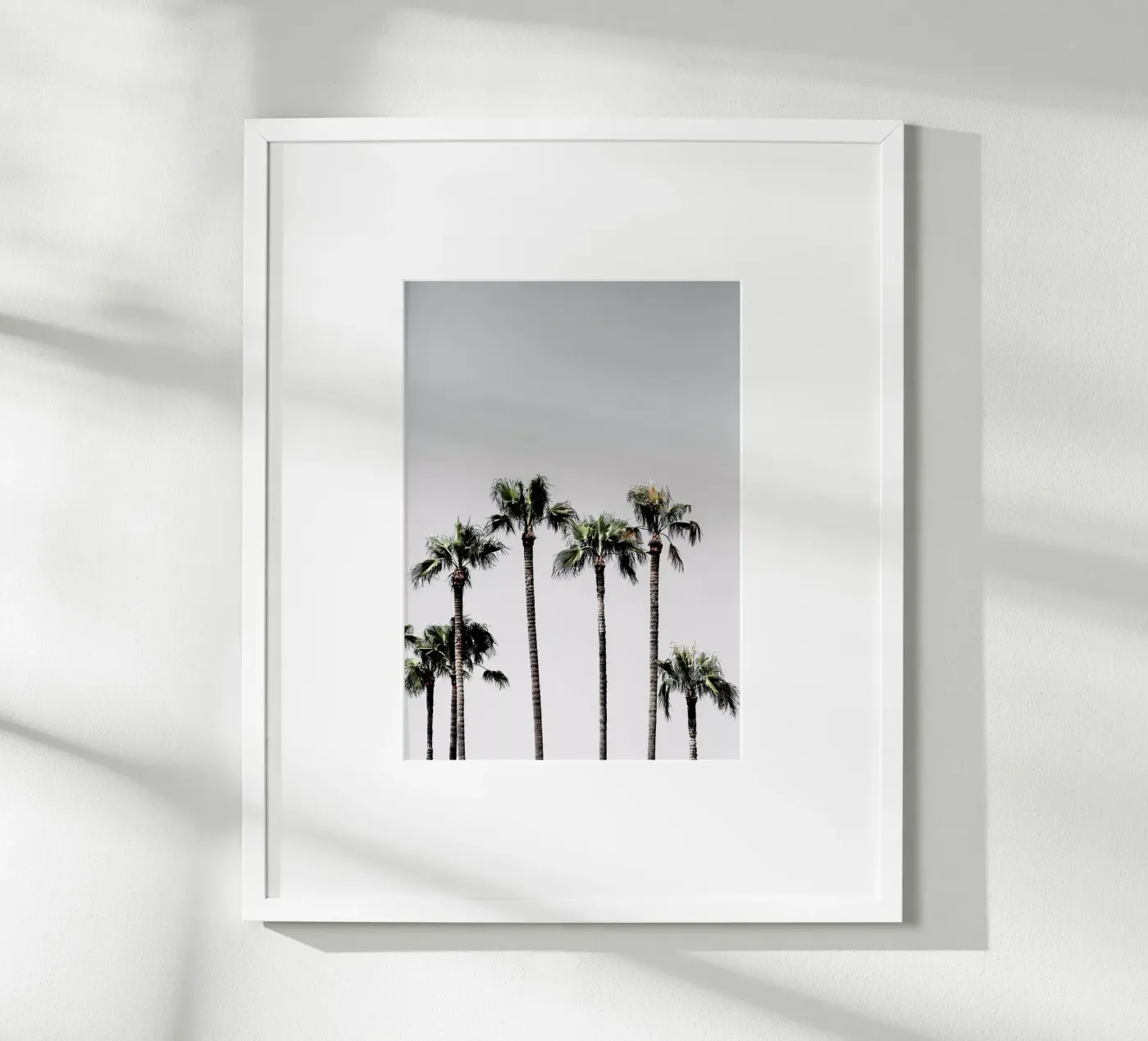 Palm Trees 5 poster da Mareike Böhmer Photography