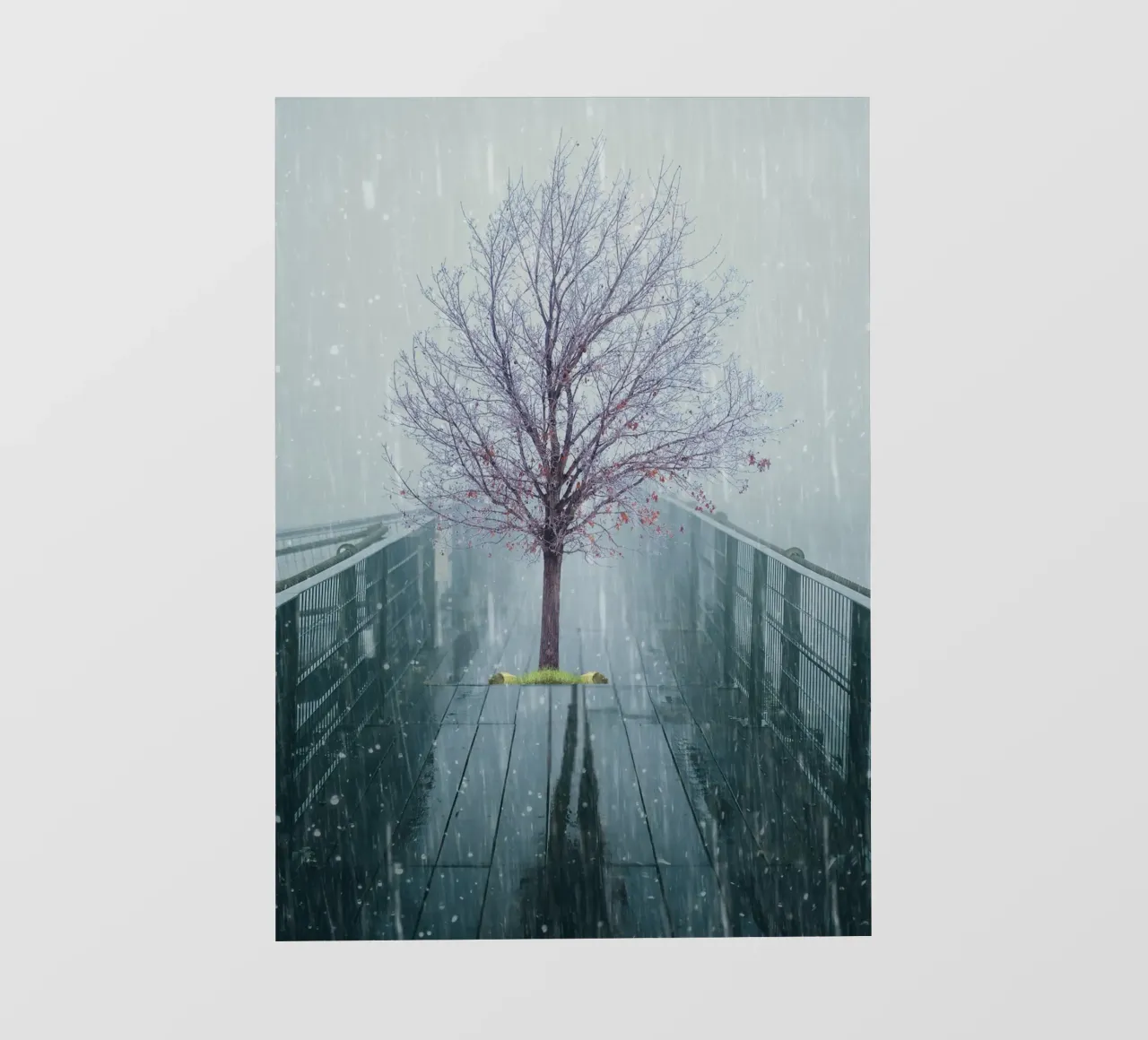 Albero su ponte con neve invernale pellicola backlit da Berwies Artwork