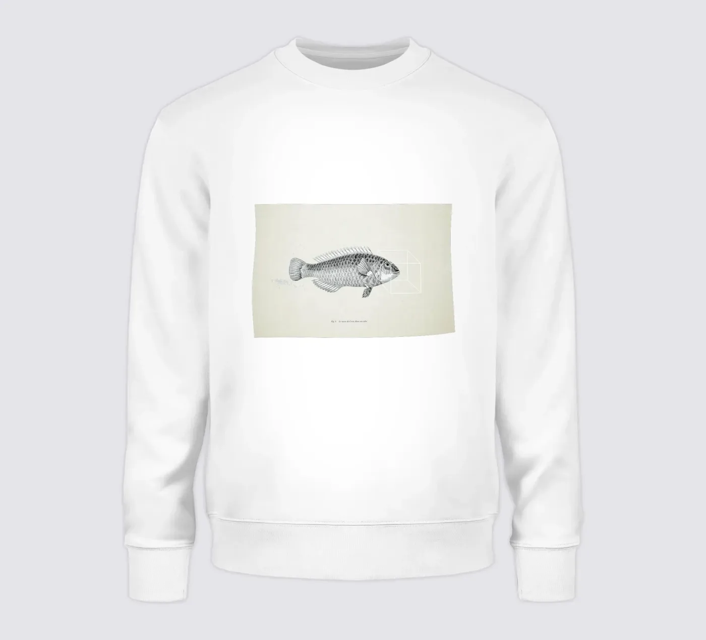 Fish#2 felpa da Matteo Morelli