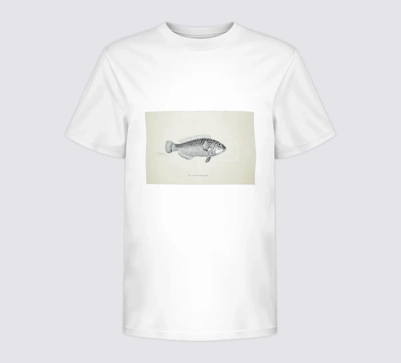 Fish#2 Kinder T-Shirt von Matteo Morelli