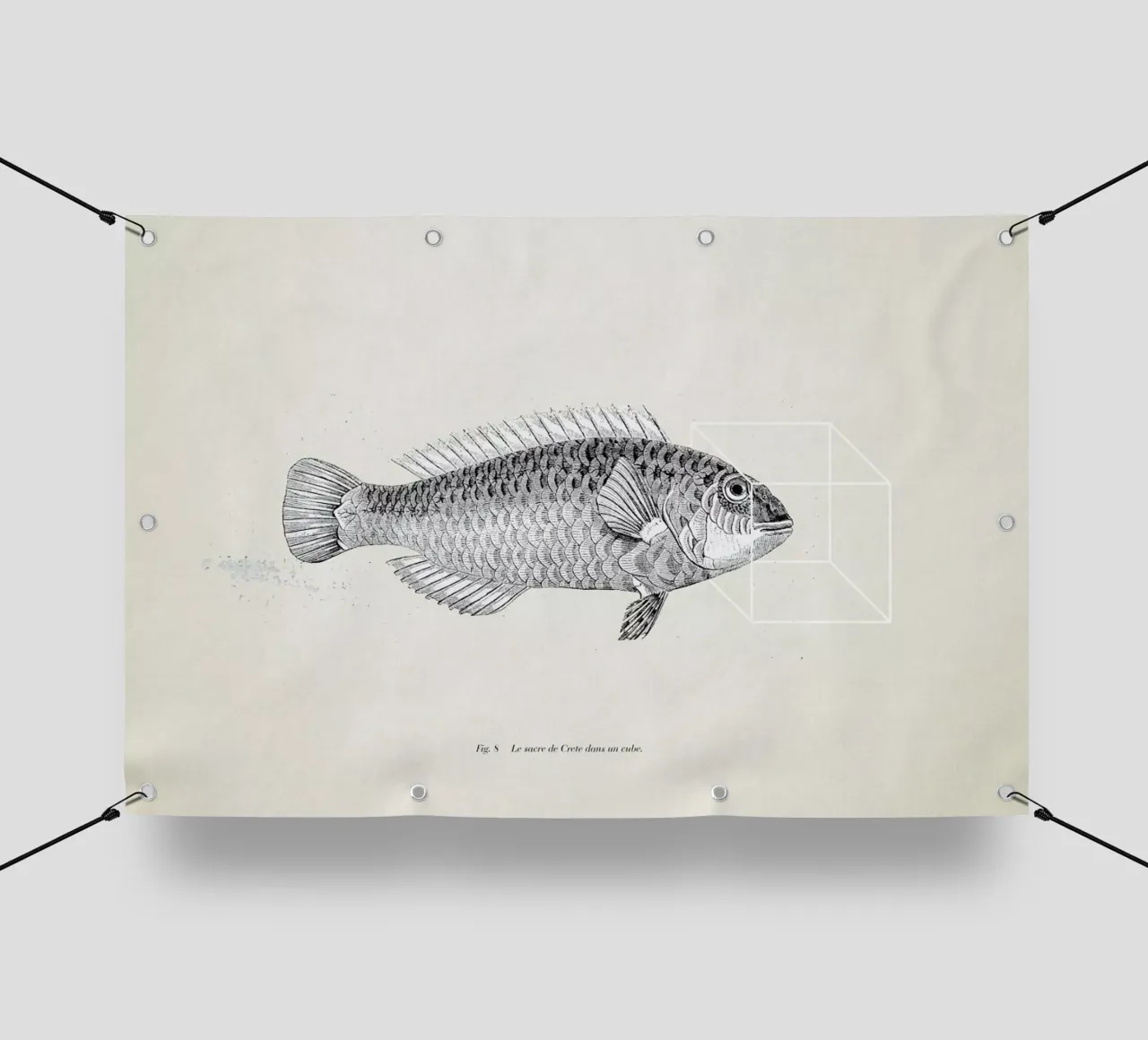 Fish#2 telo in pvc da Matteo Morelli