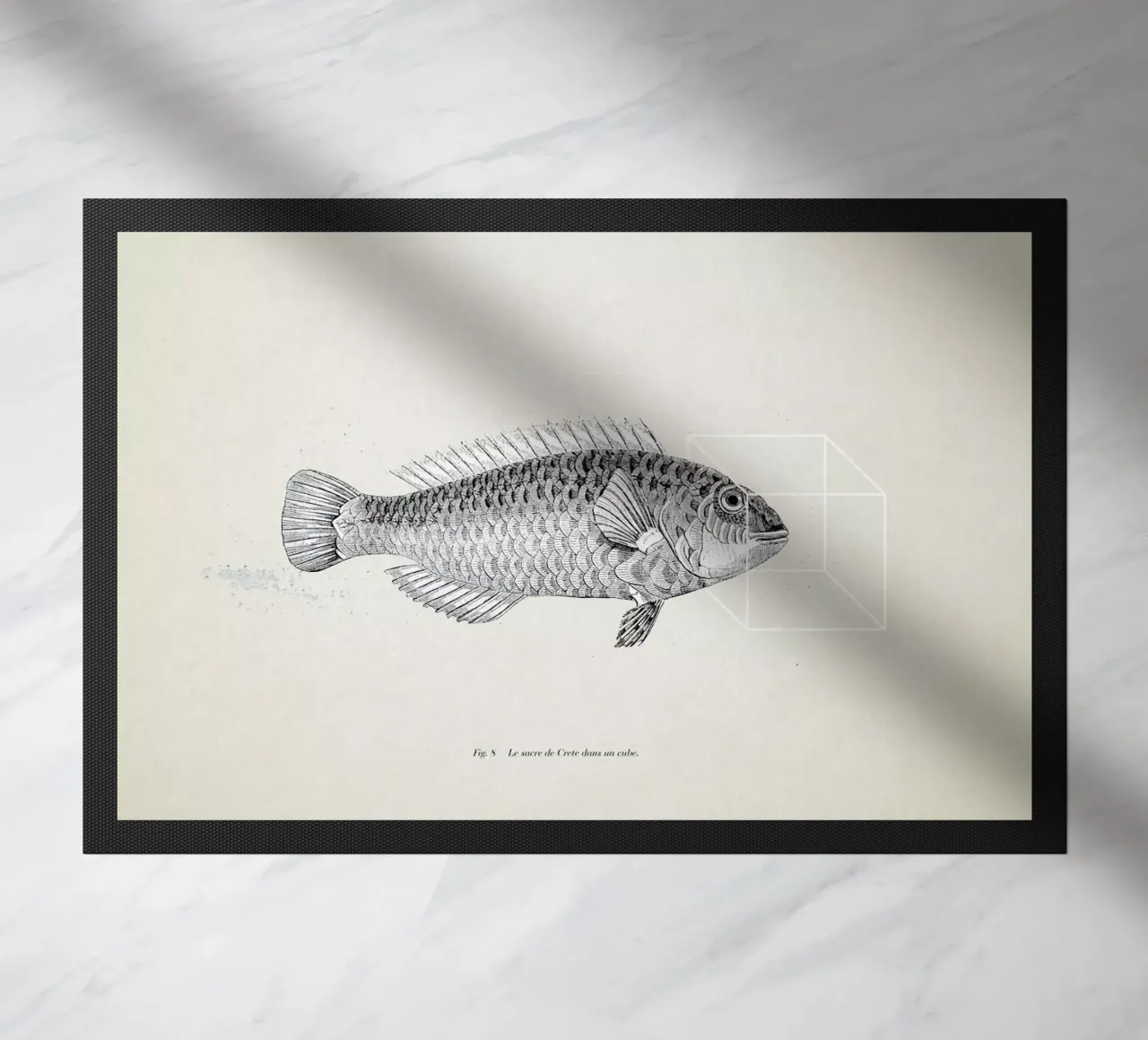 Fish#2 zerbino da Matteo Morelli