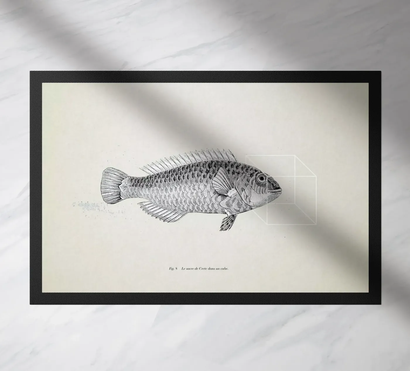 Fish#2 zerbino da Matteo Morelli