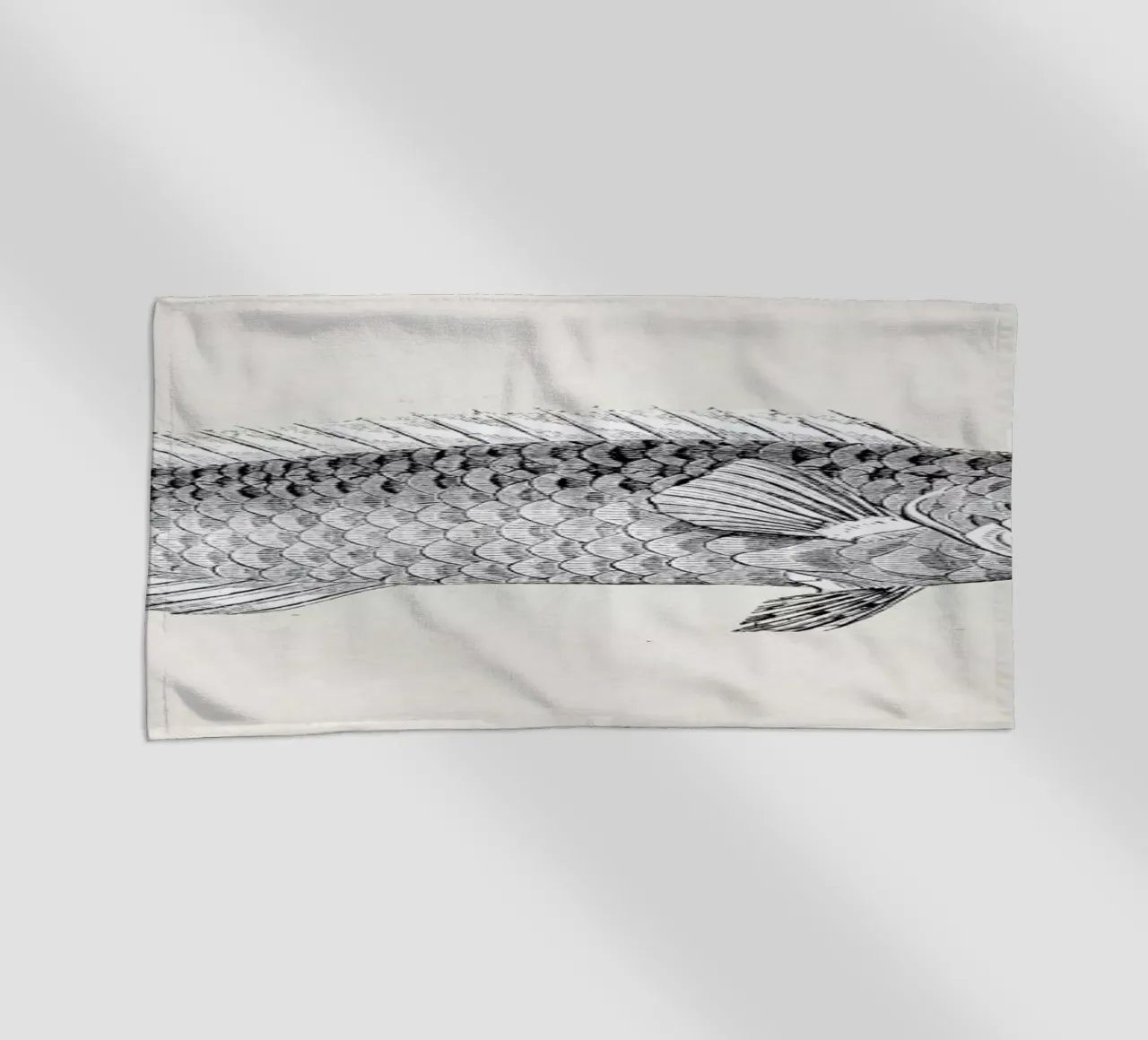 Fish#2 telo mare da Matteo Morelli