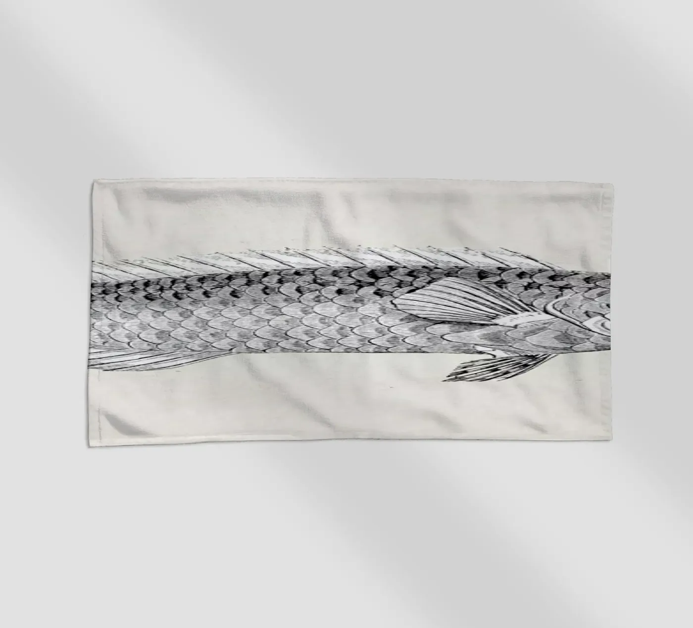 Fish#2 telo mare da Matteo Morelli