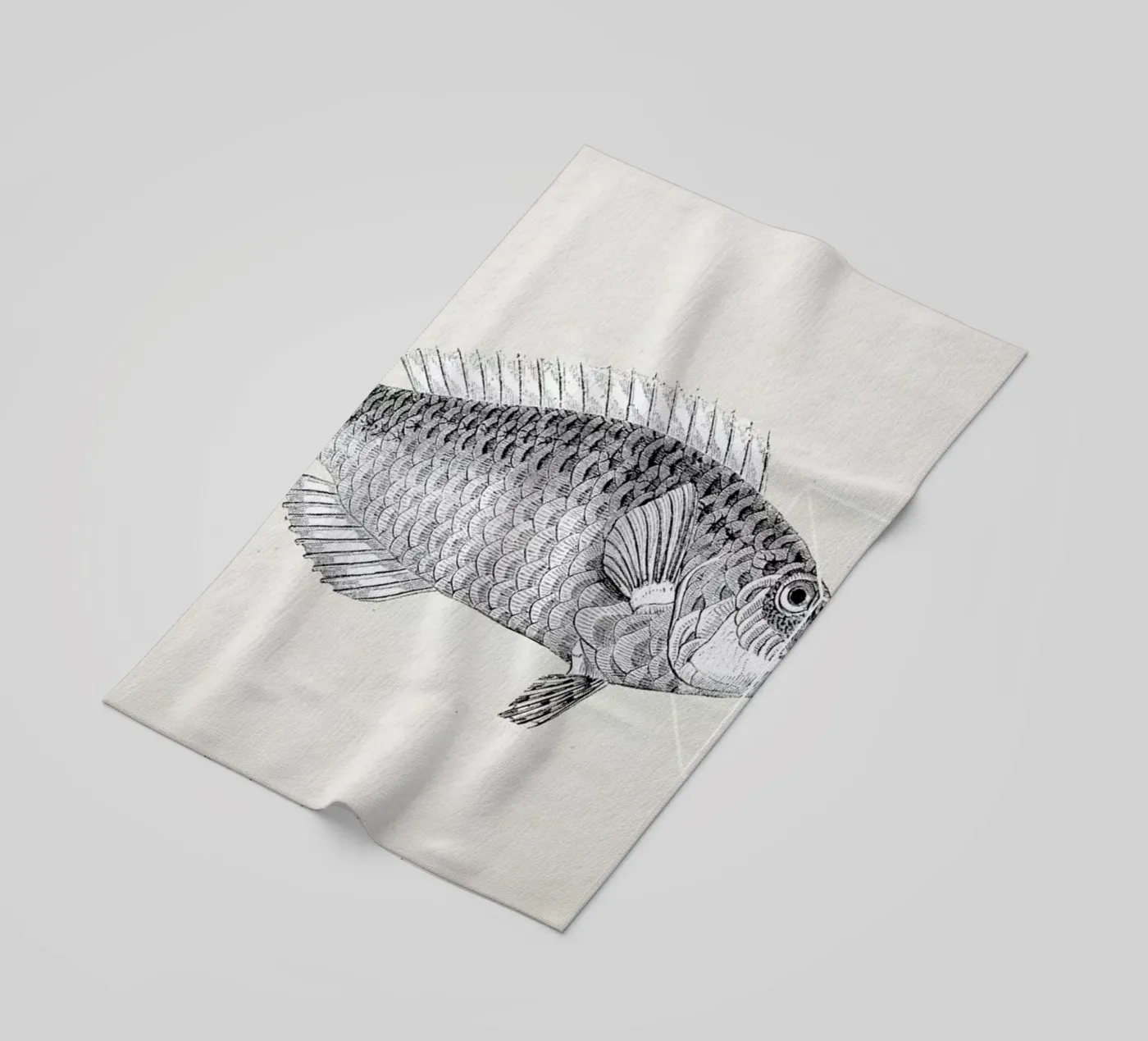 Fish#2 telo mare da Matteo Morelli