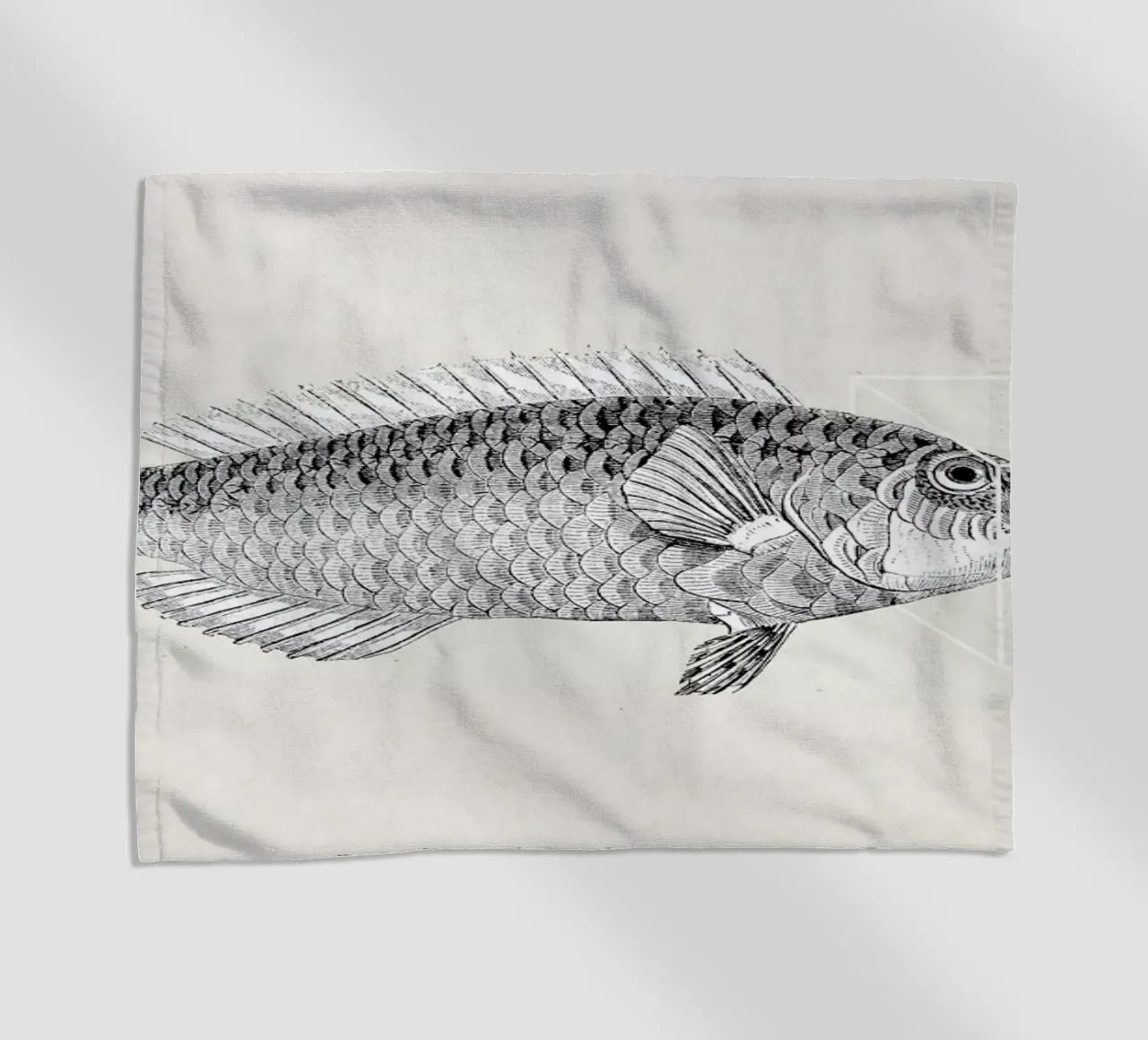 Fish#2 telo mare da Matteo Morelli