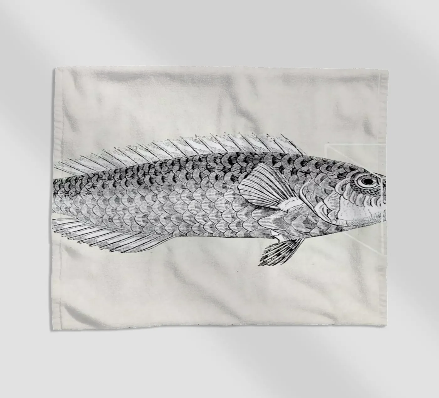 Fish#2 telo mare da Matteo Morelli