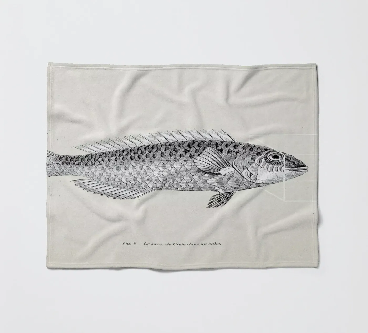 Fish#2 Fleecedecke von Matteo Morelli