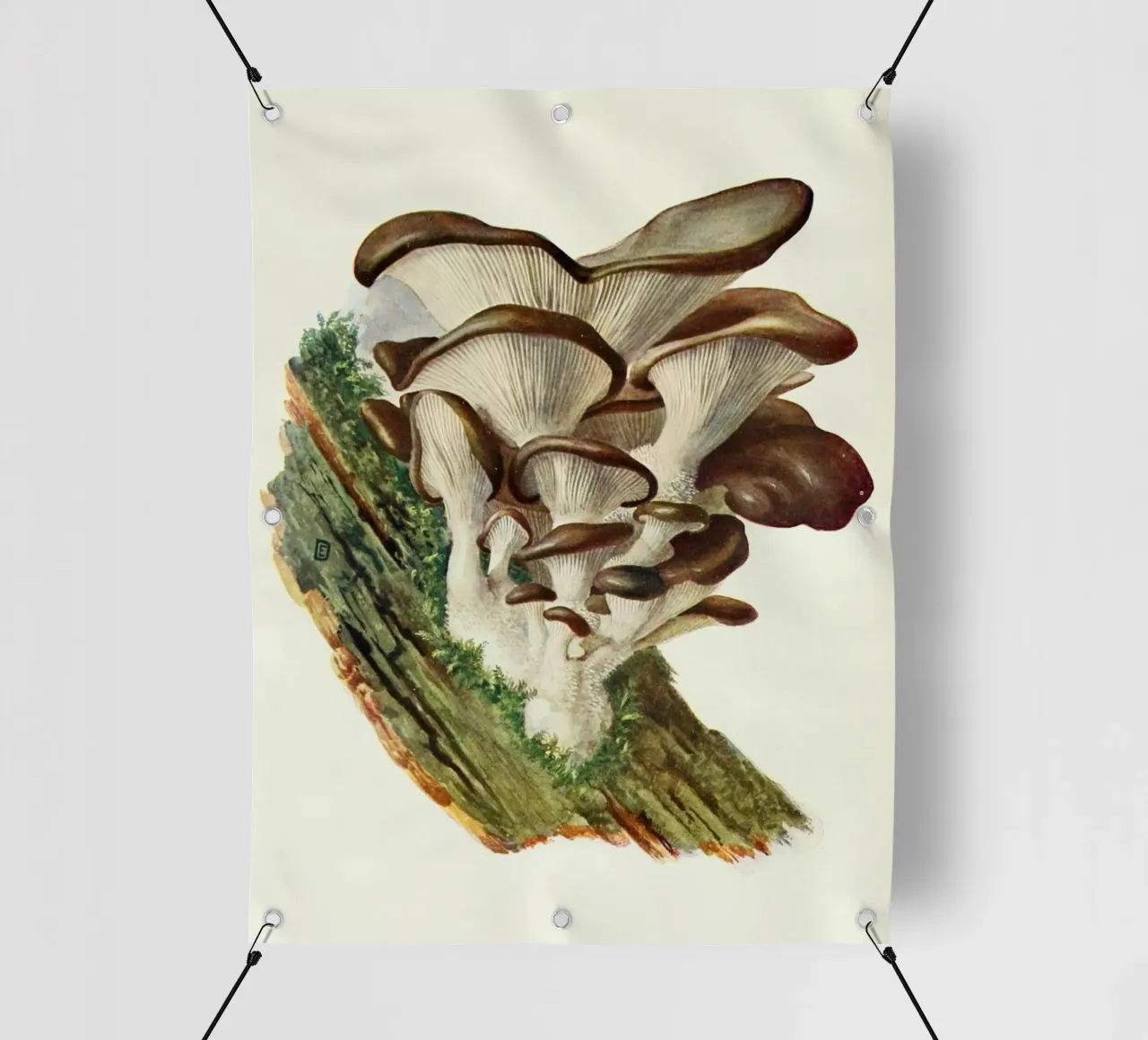 Lecter #3 telo in pvc da vintagebotanics