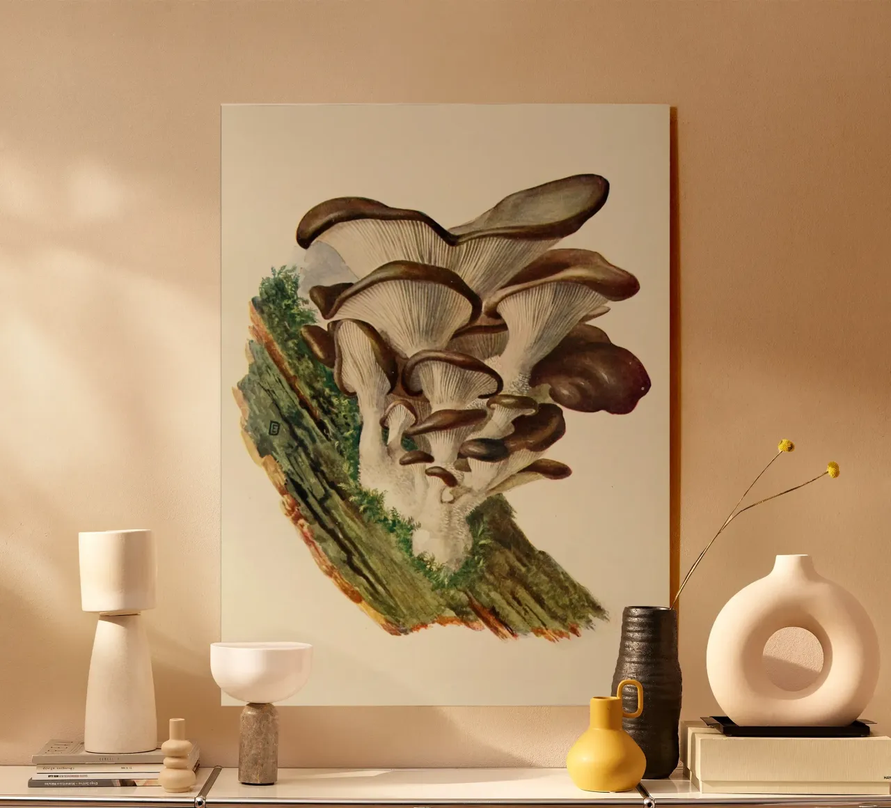 Lecter #3 plexiglass da vintagebotanics