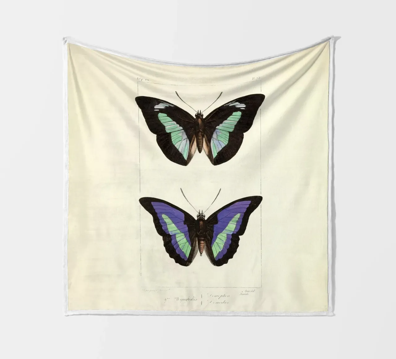 come fly with me coperta in pile da vintagebotanics