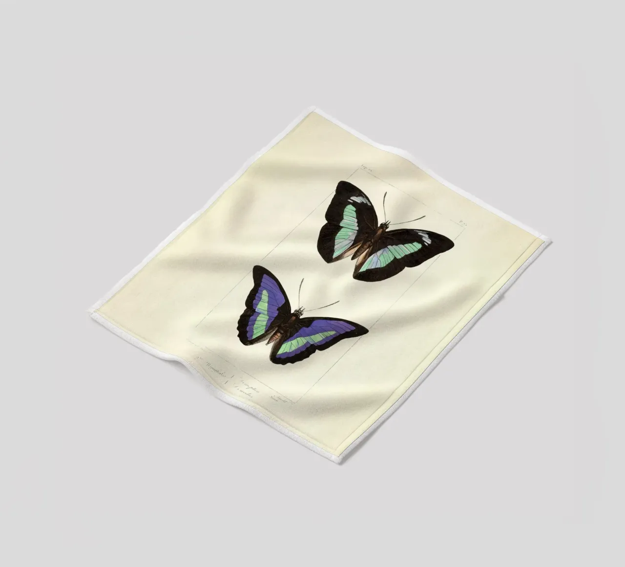 come fly with me coperta in pile da vintagebotanics