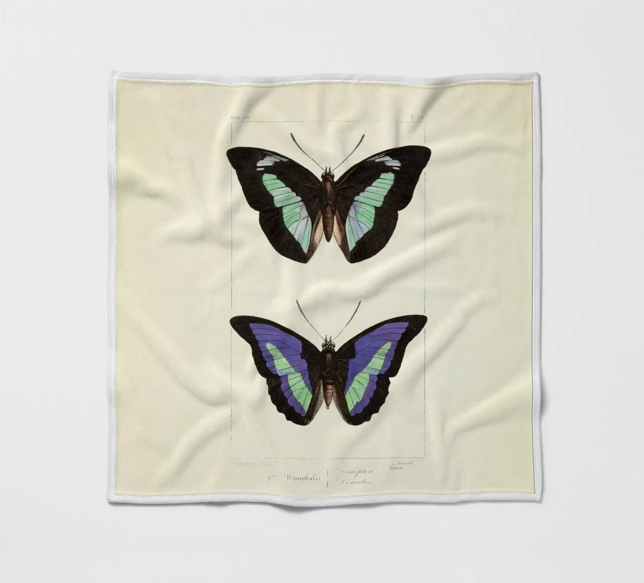 come fly with me coperta in pile da vintagebotanics