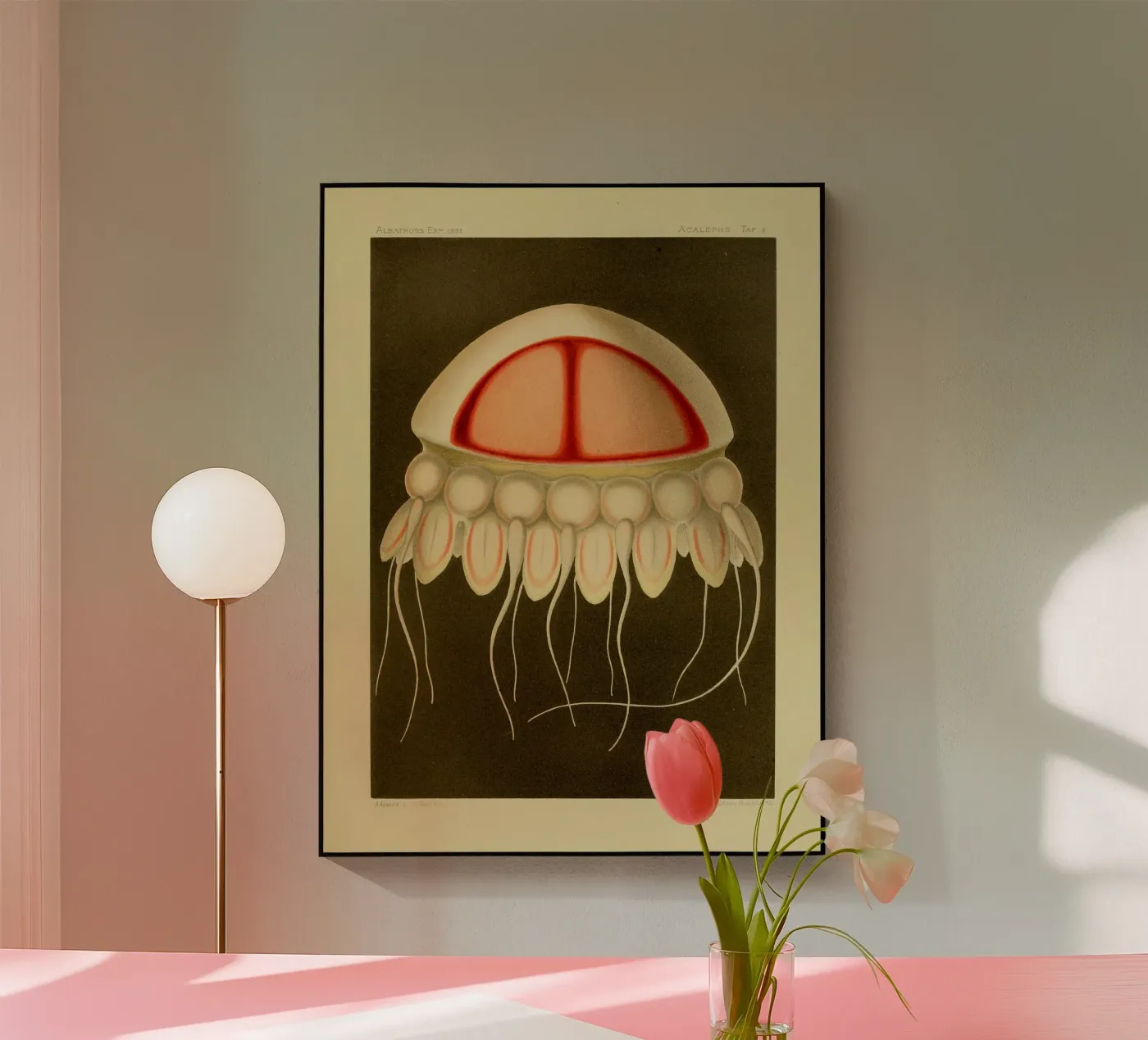 Superfast Jellyfish #1 plexiglass da vintagebotanics
