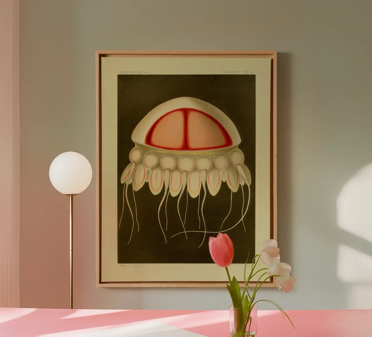 Superfast Jellyfish #1 tela con Cornice a cassetta da vintagebotanics