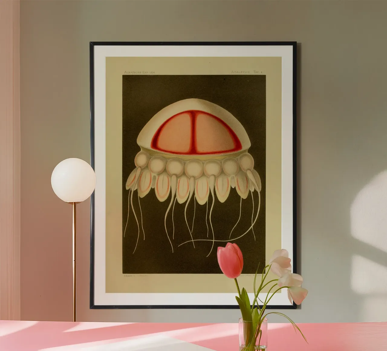 Superfast Jellyfish #1 Poster mit Aluminium Rahmen von vintagebotanics