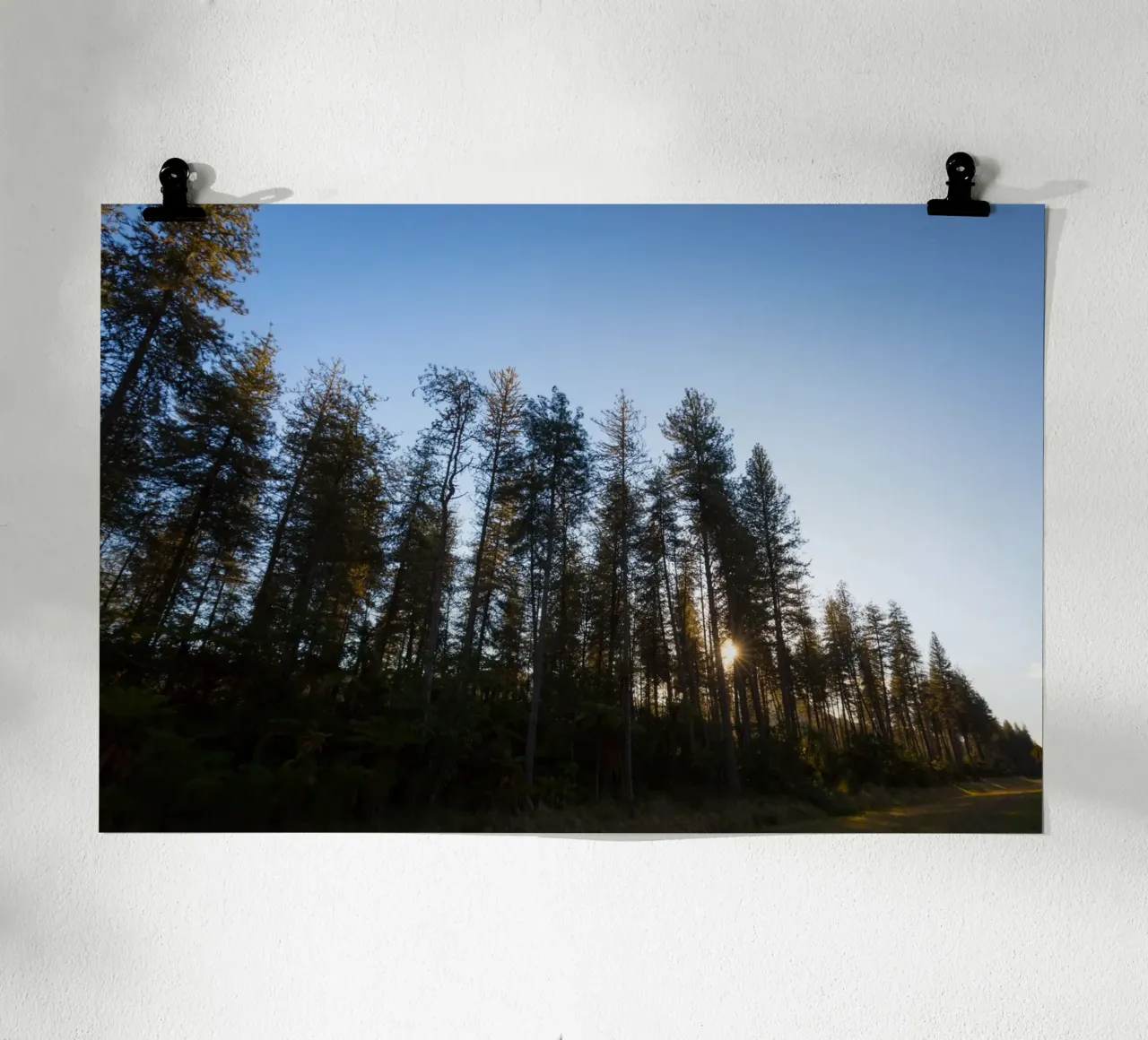 Vintage Wild poster con telaio in legno da StillVibe Home