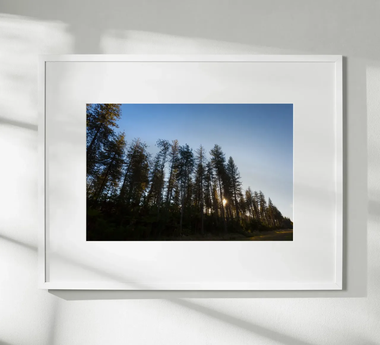 Vintage Wild poster con telaio in legno da StillVibe Home