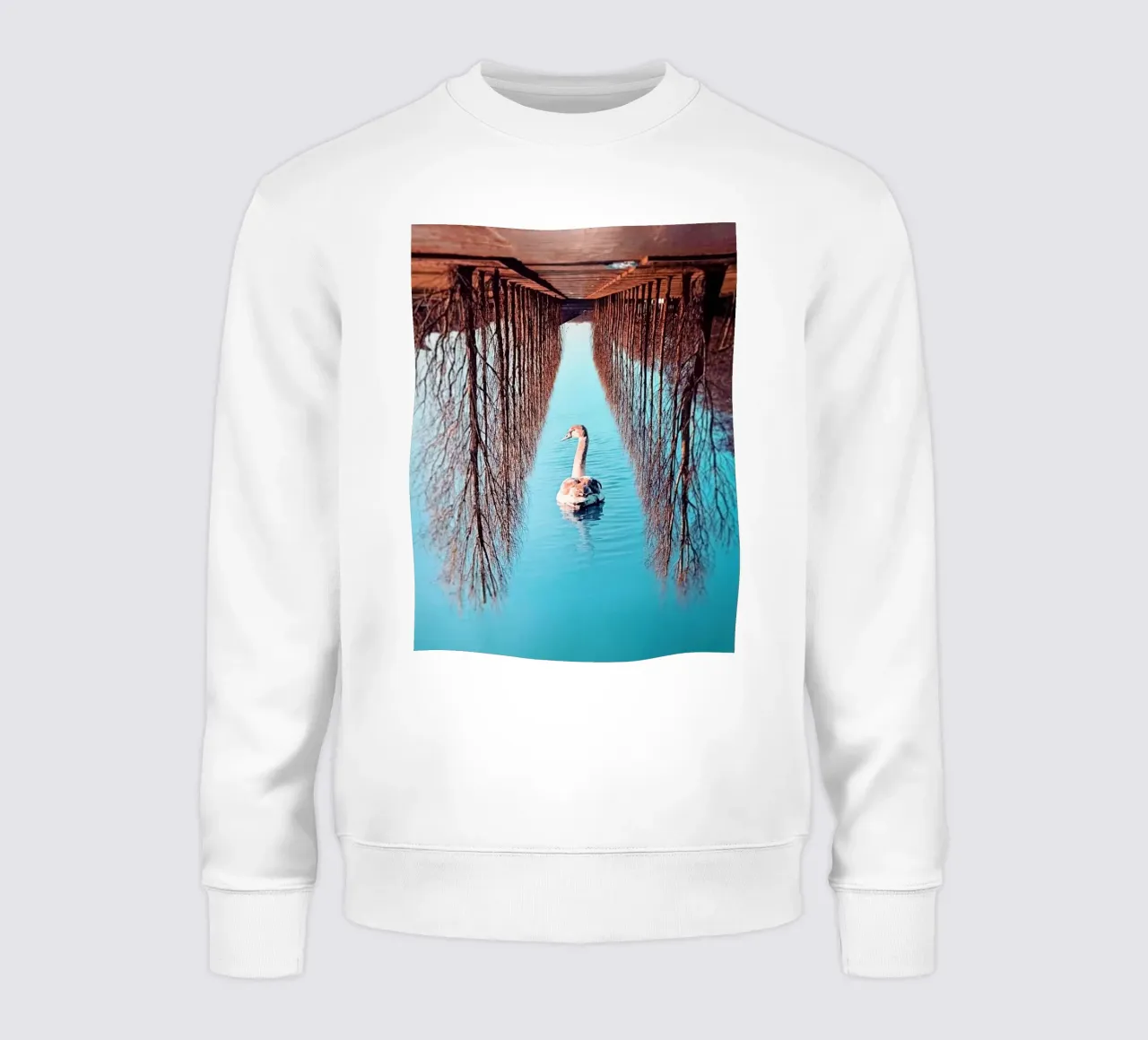 Swanomaly sweat de mofartmonica