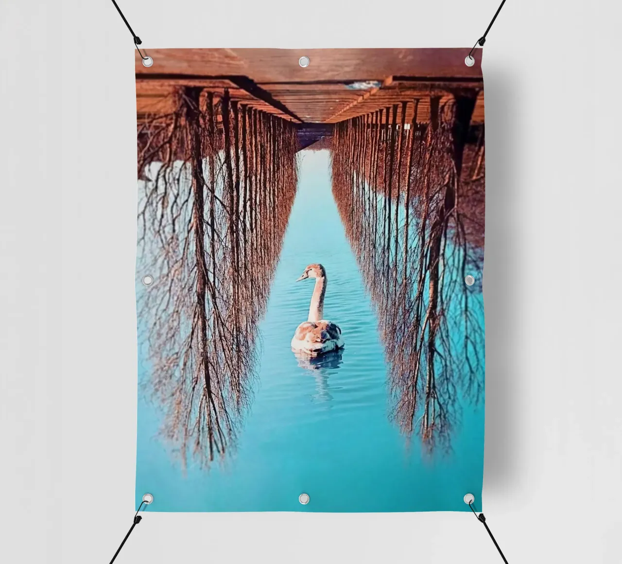 Swanomaly telo in pvc da mofartmonica