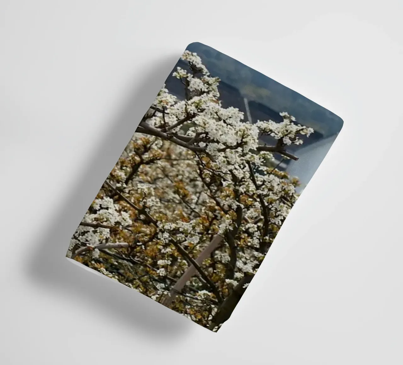 blossoming branches orchard asciugamano da bagno da Histrol