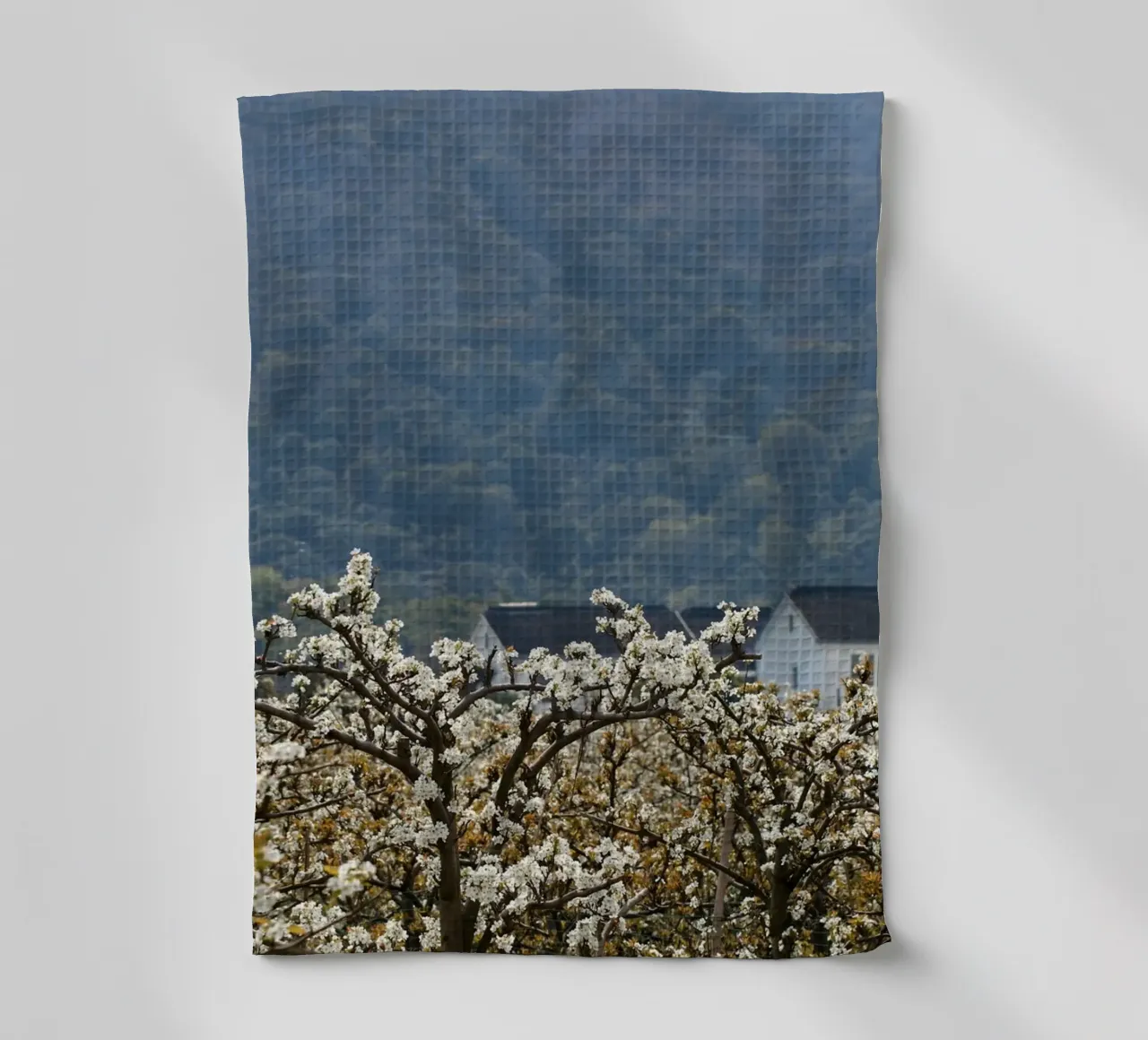 blossoming branches orchard canovaccio da cucina da Histrol