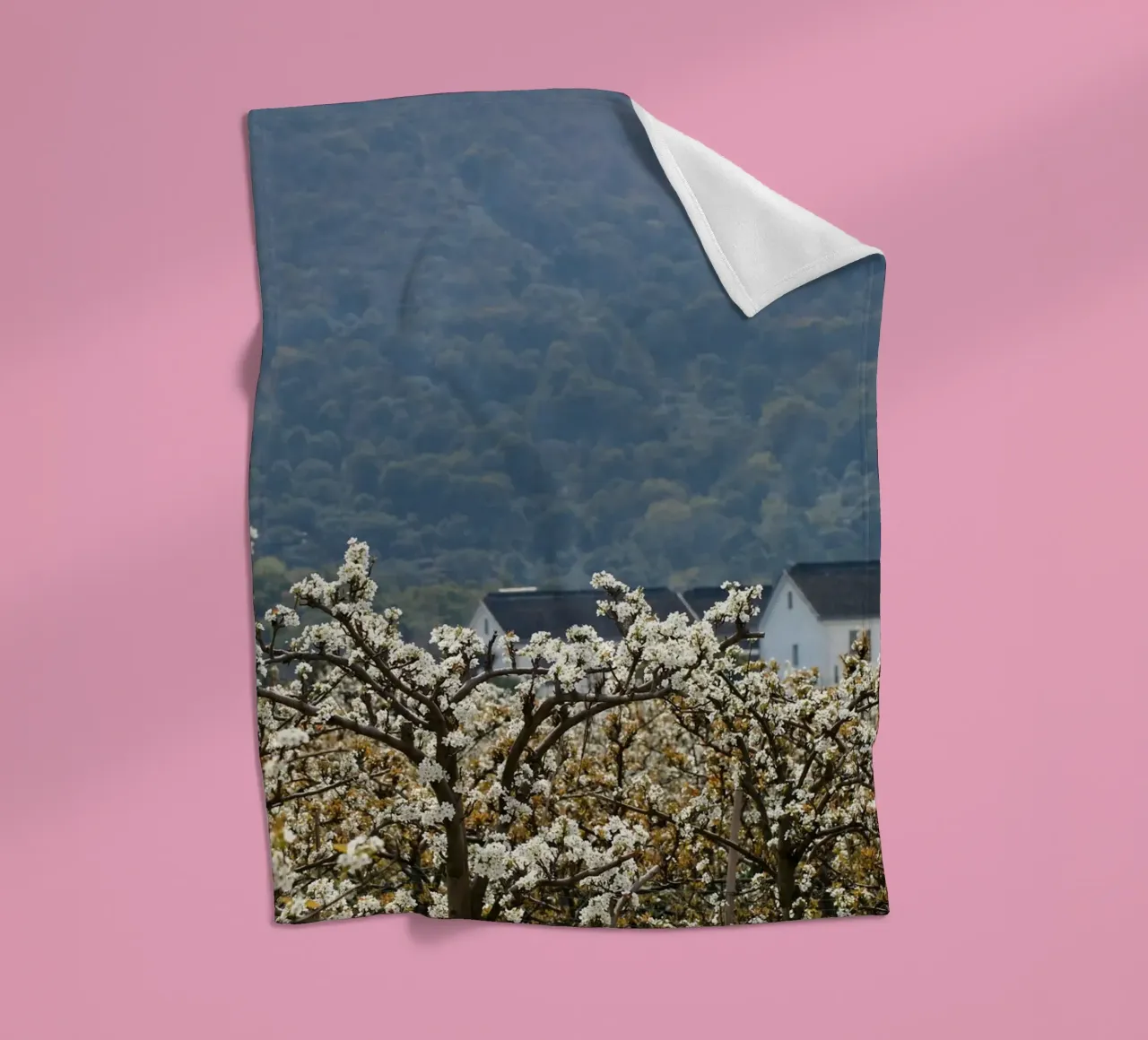 blossoming branches orchard coperta in pile da Histrol